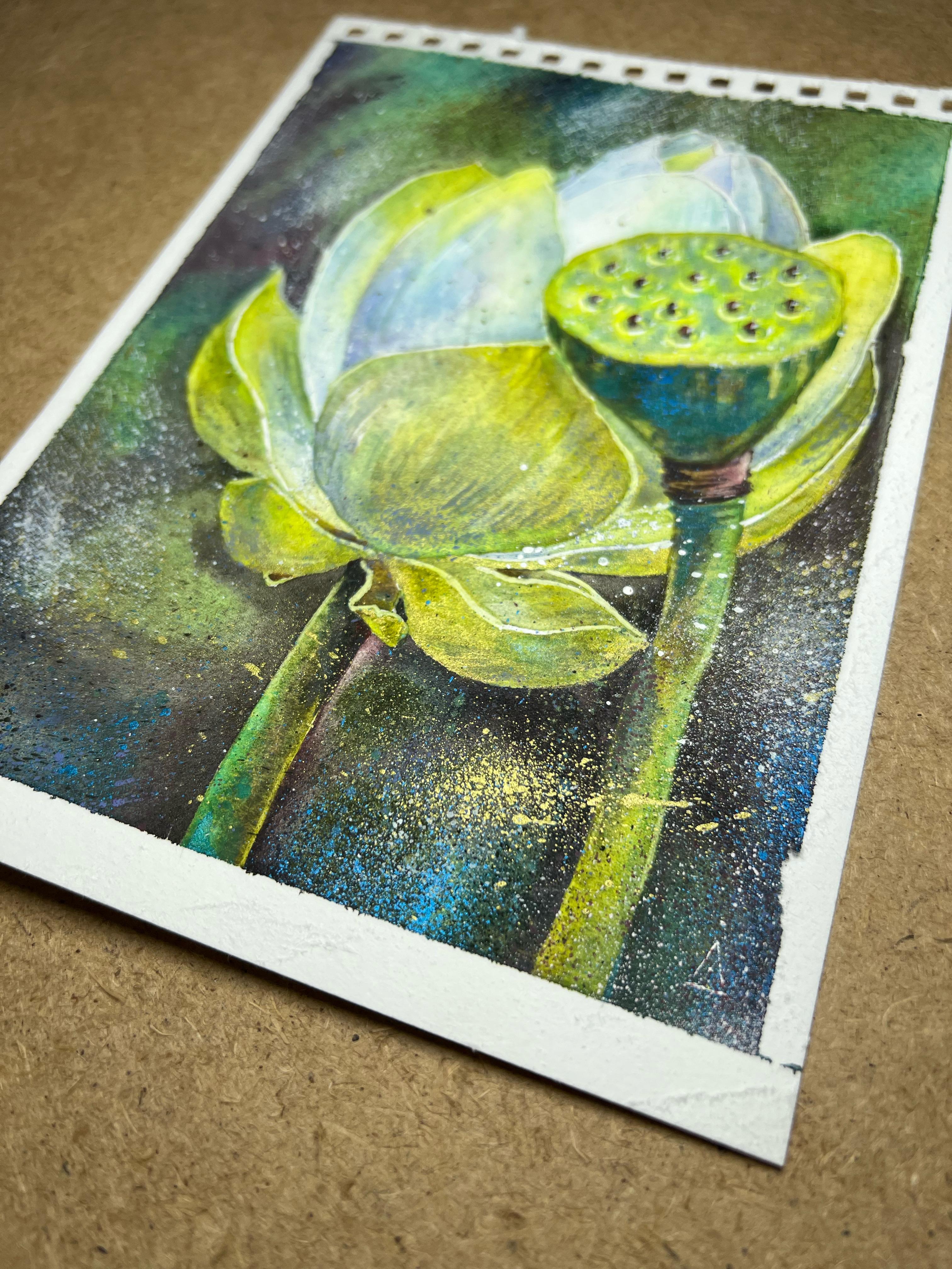 Shining Lotus. For Sale 2
