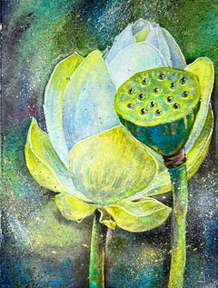 Shining Lotus.
