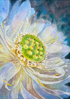 Shining Lotus.Indigo
