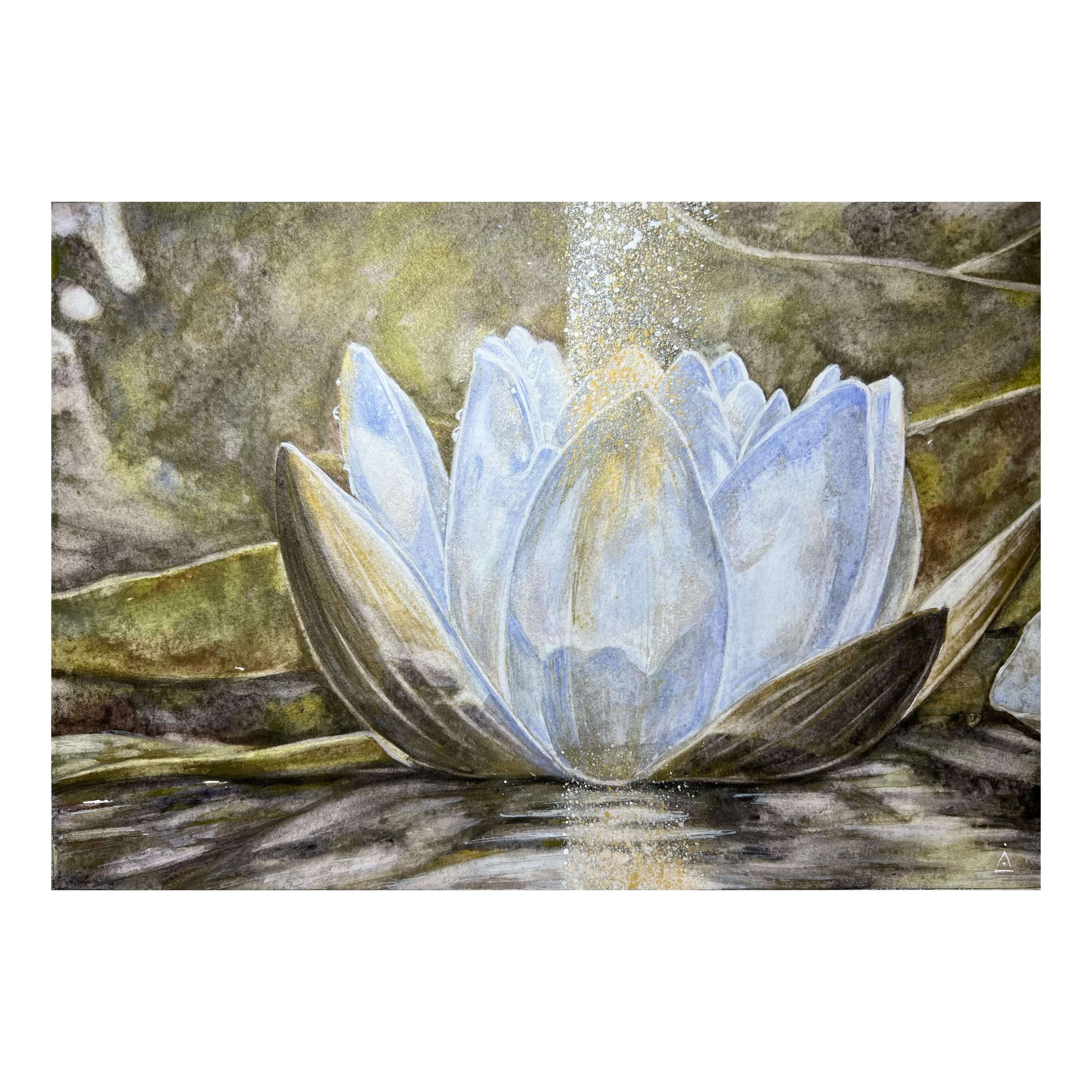 Winterlotus im Angebot 6