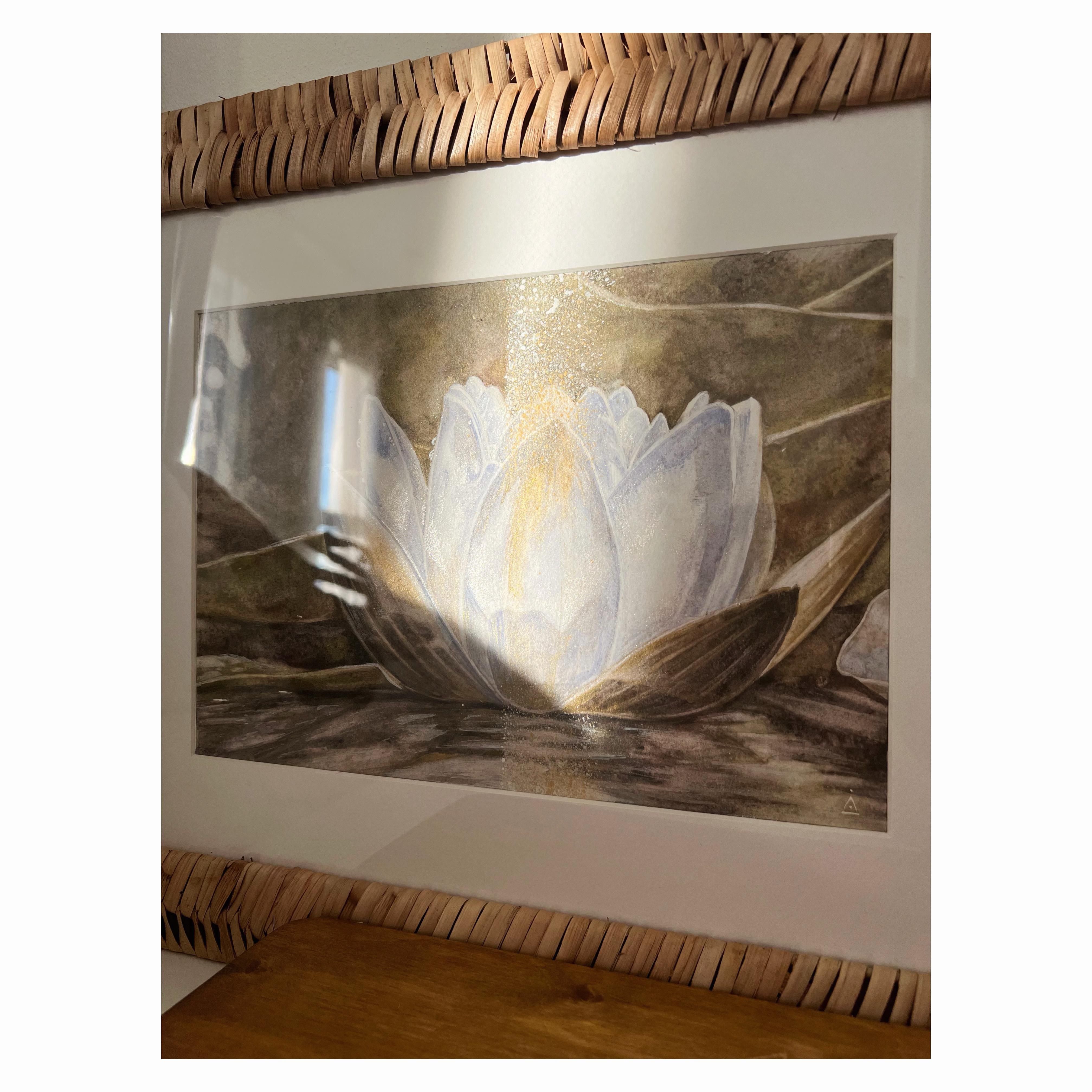 Winterlotus im Angebot 8
