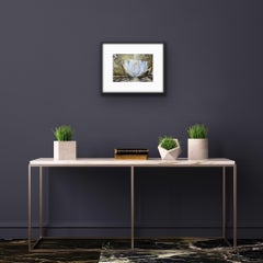 Winter lotus