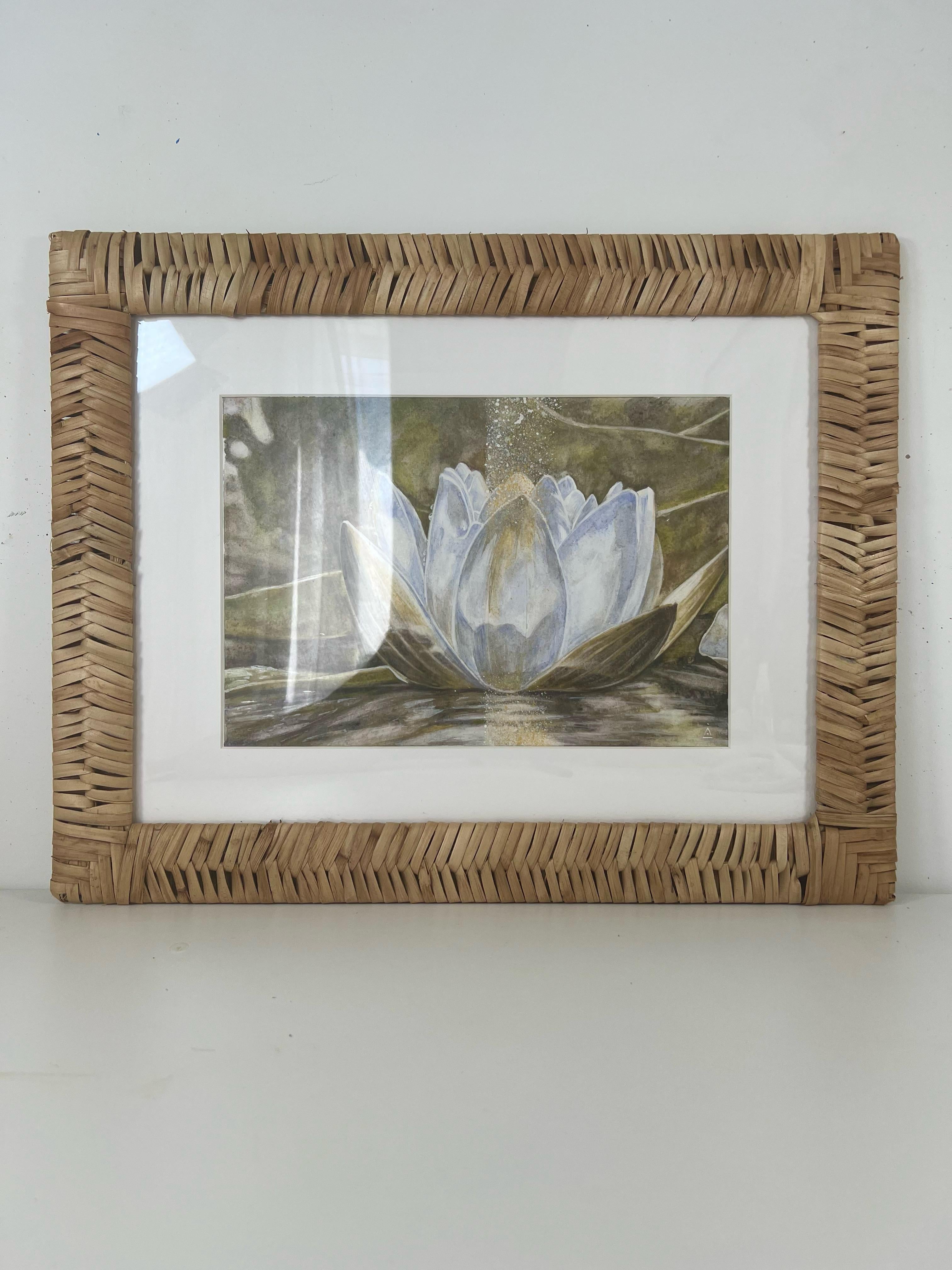 Winterlotus im Angebot 4