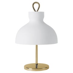 Arenzano Bassa, Low Table Lamp by Ignazio Gardella for TATO