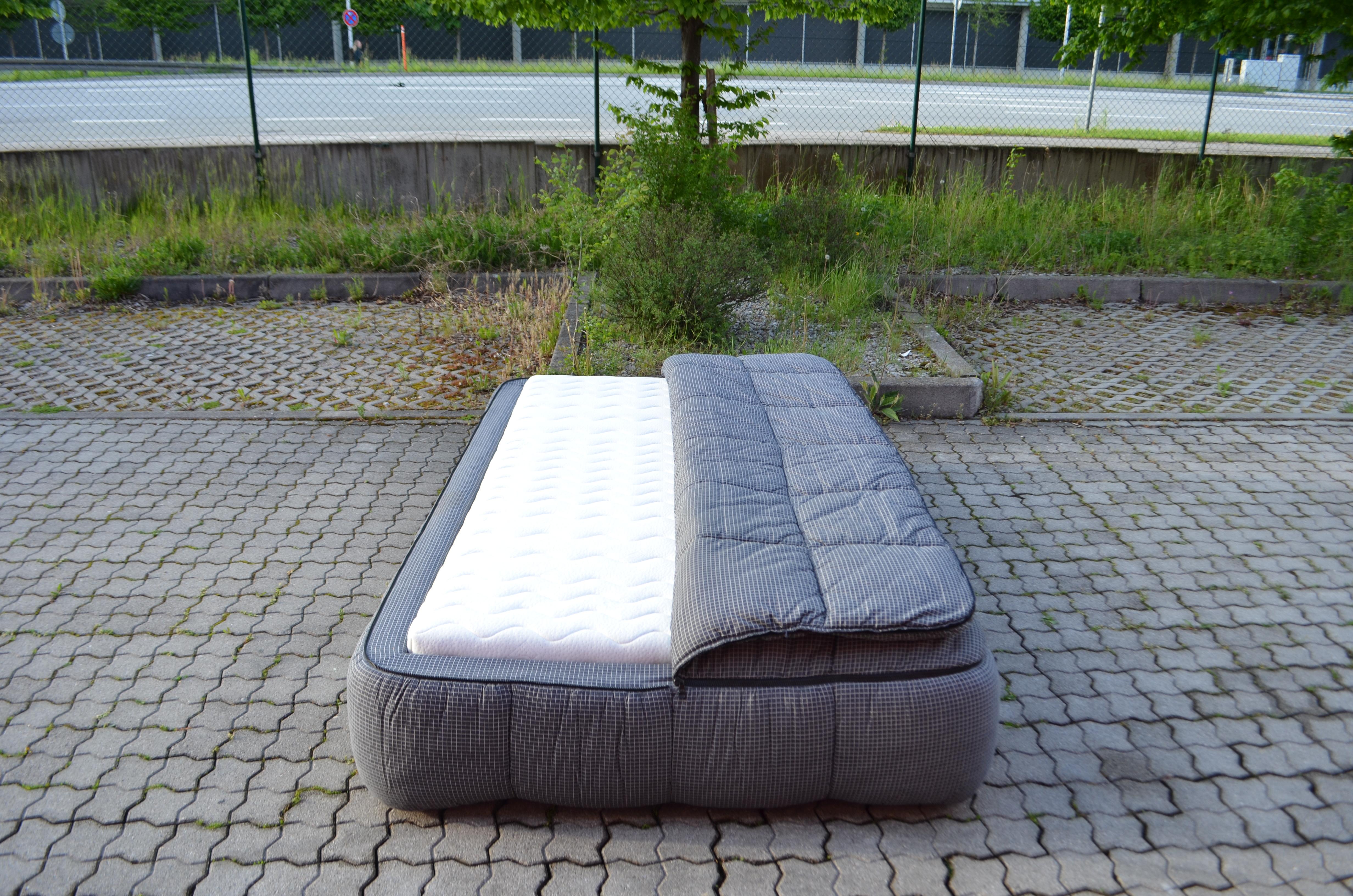 Arflex Cini Boeri Model Strips Bed Daybed For Sale 6