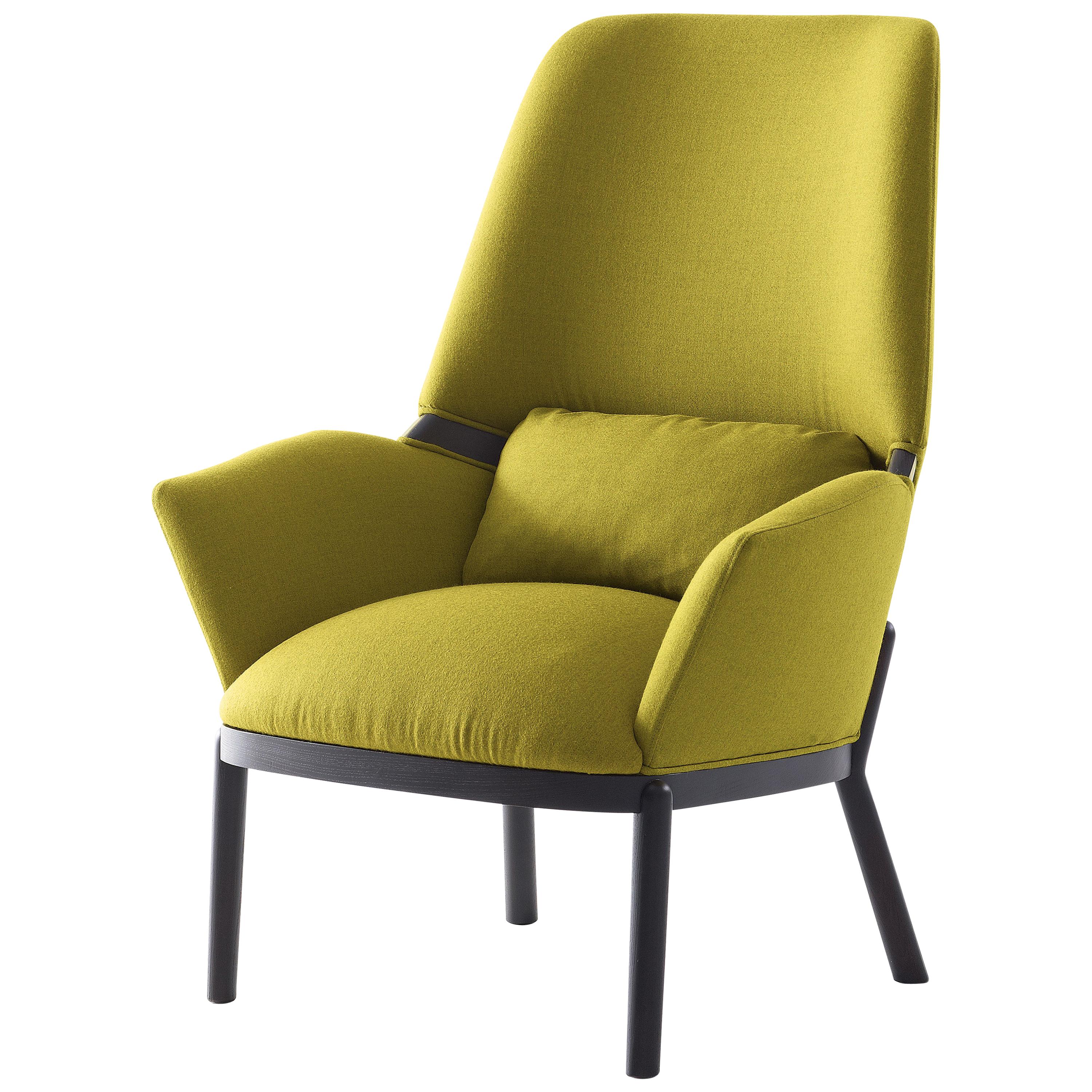 Arflex Serena Armchair in Lama Fabric with Wenge Stained Legs by Luca Nichetto 
