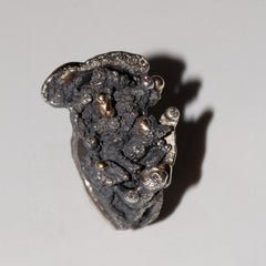 Argentamento Nero Sculptural Ring in 925 Silver by Brando Pilgiò