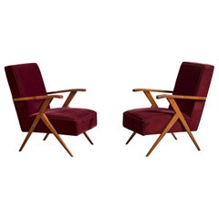 Designer argentino, poltrone, legno, velluto, Argentina, anni ’1950