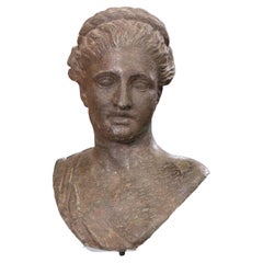 Argentinian Iron Bust