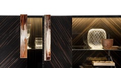 Argo Cabinet in Glossy Ebony, Horn, Glass & 24K Gold-Plated Brass by Arcahorn