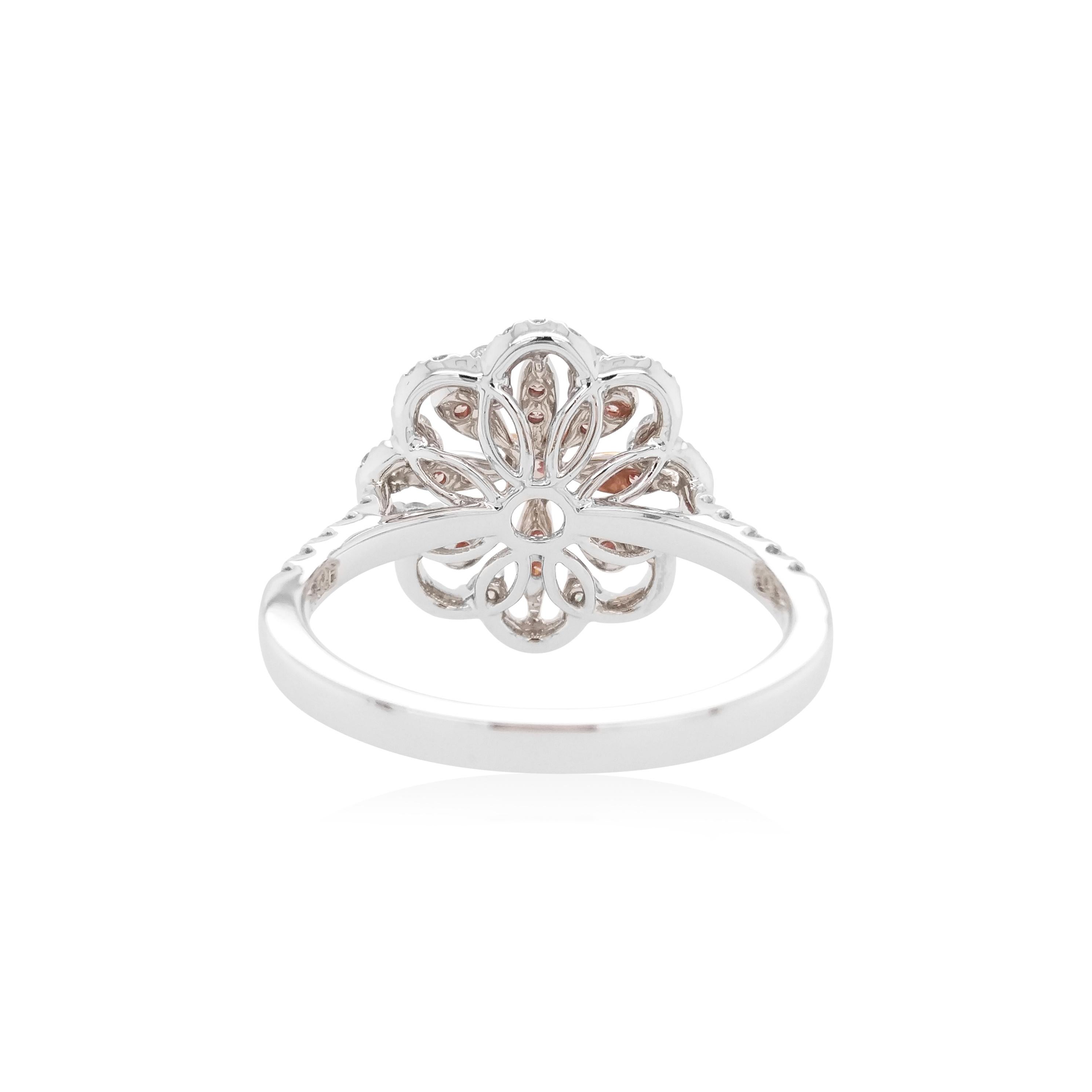 This unique flower shaped ring features natural Argyle pink diamonds at the heart of the design. The rich colour of these diamonds is complimented perfectly by the delicate platinum floral design which completed by a combination of round