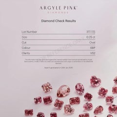 Argyle Pink Diamond Earrings