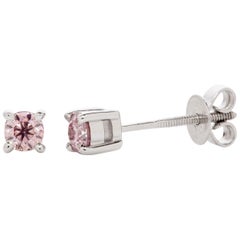 Argyle Pink Round Brilliant Cut Diamond 18 Karat White Gold Ear Studs