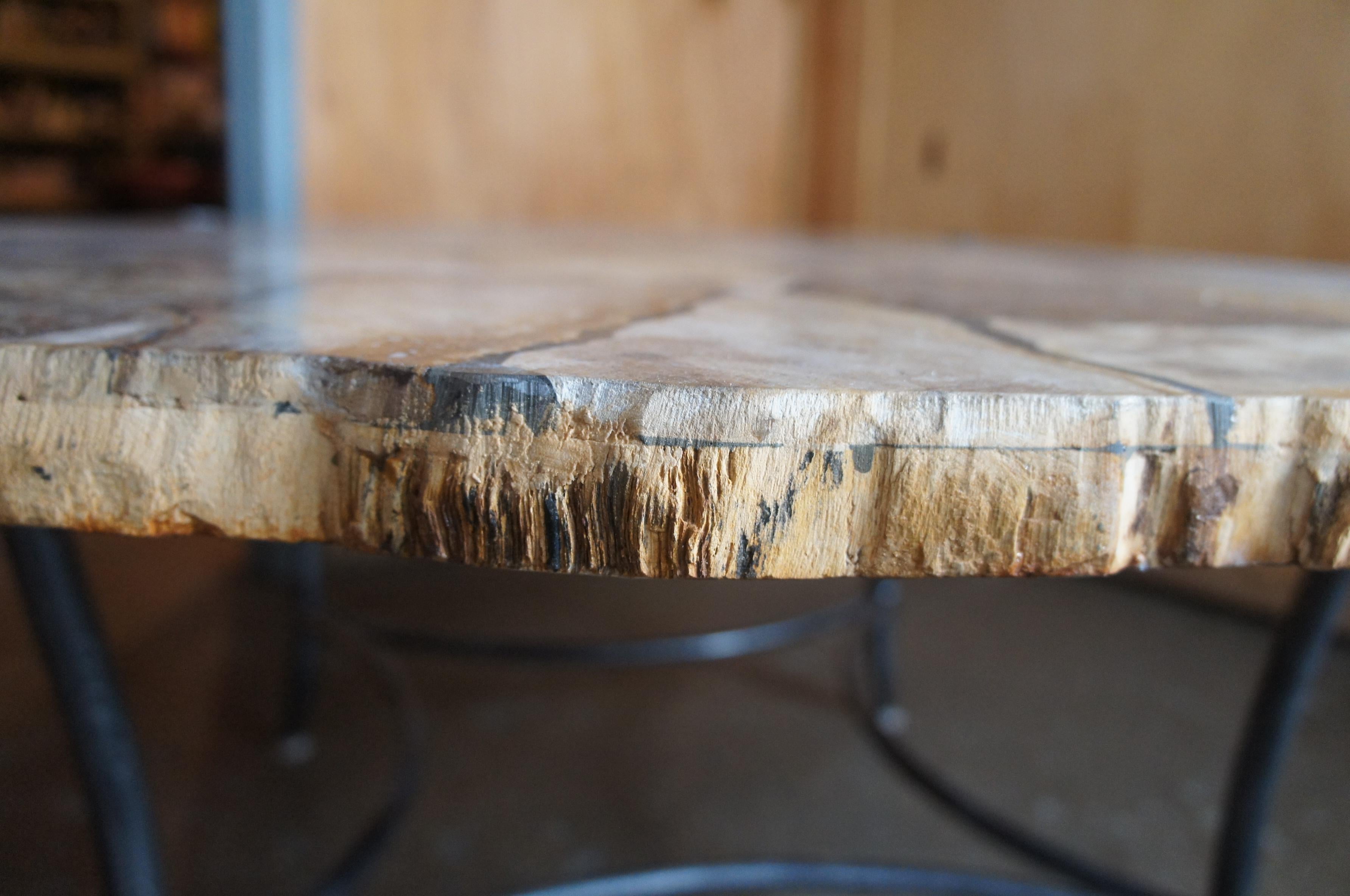 petrified wood coffee table arhaus