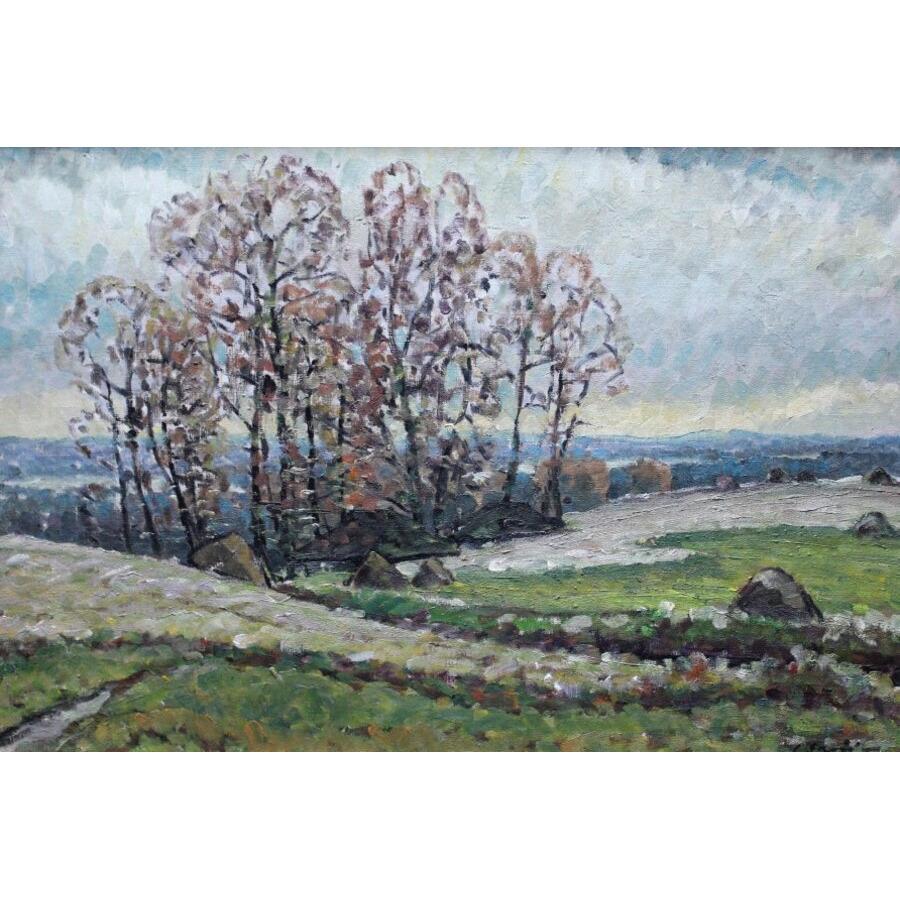 Landschaft. Öl auf Leinwand, 48x70 cm, Öl