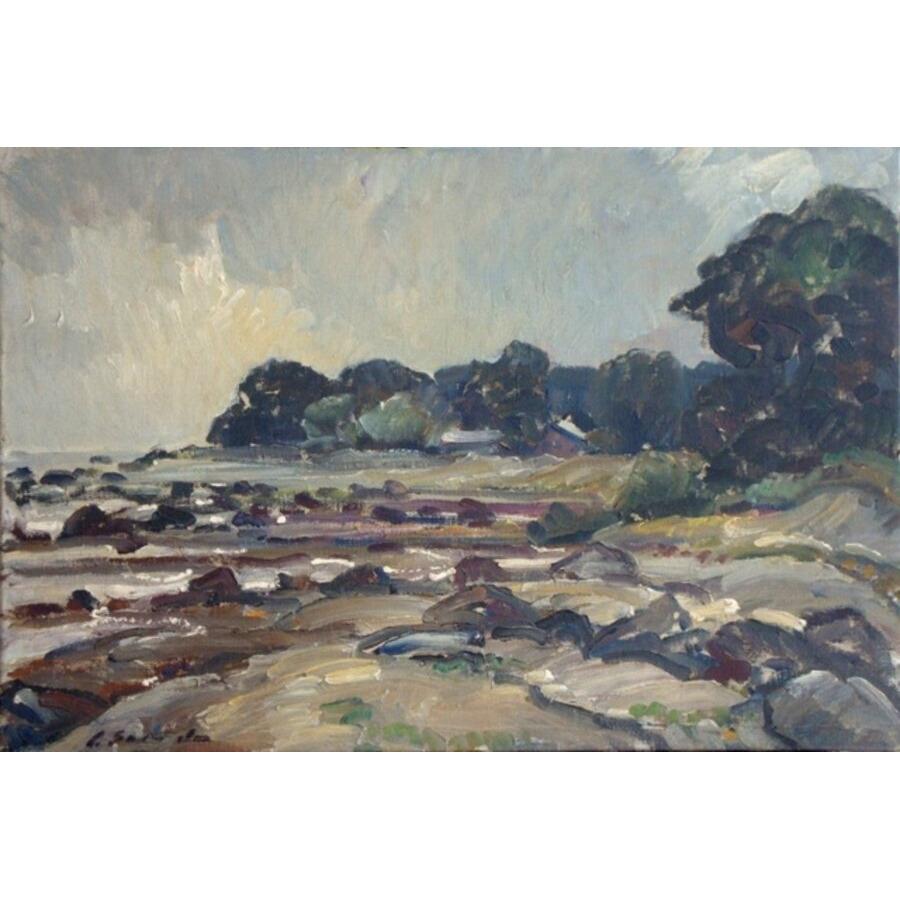 Felsige Uferböschung. Öl auf Leinwand, 48,5x72 cm