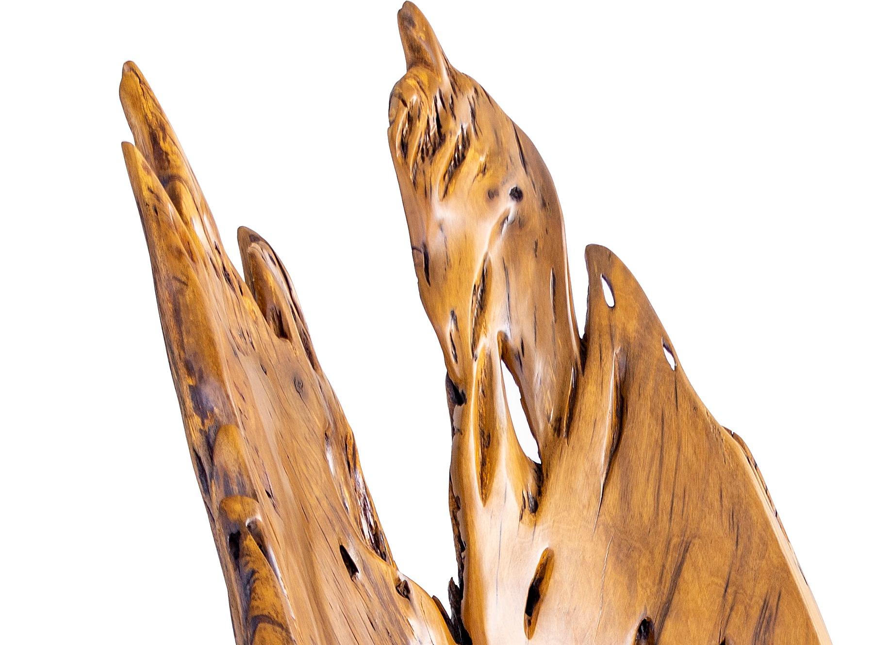 Postmoderne Chaise Arinhama en Wood Wood par Hugo França en vente