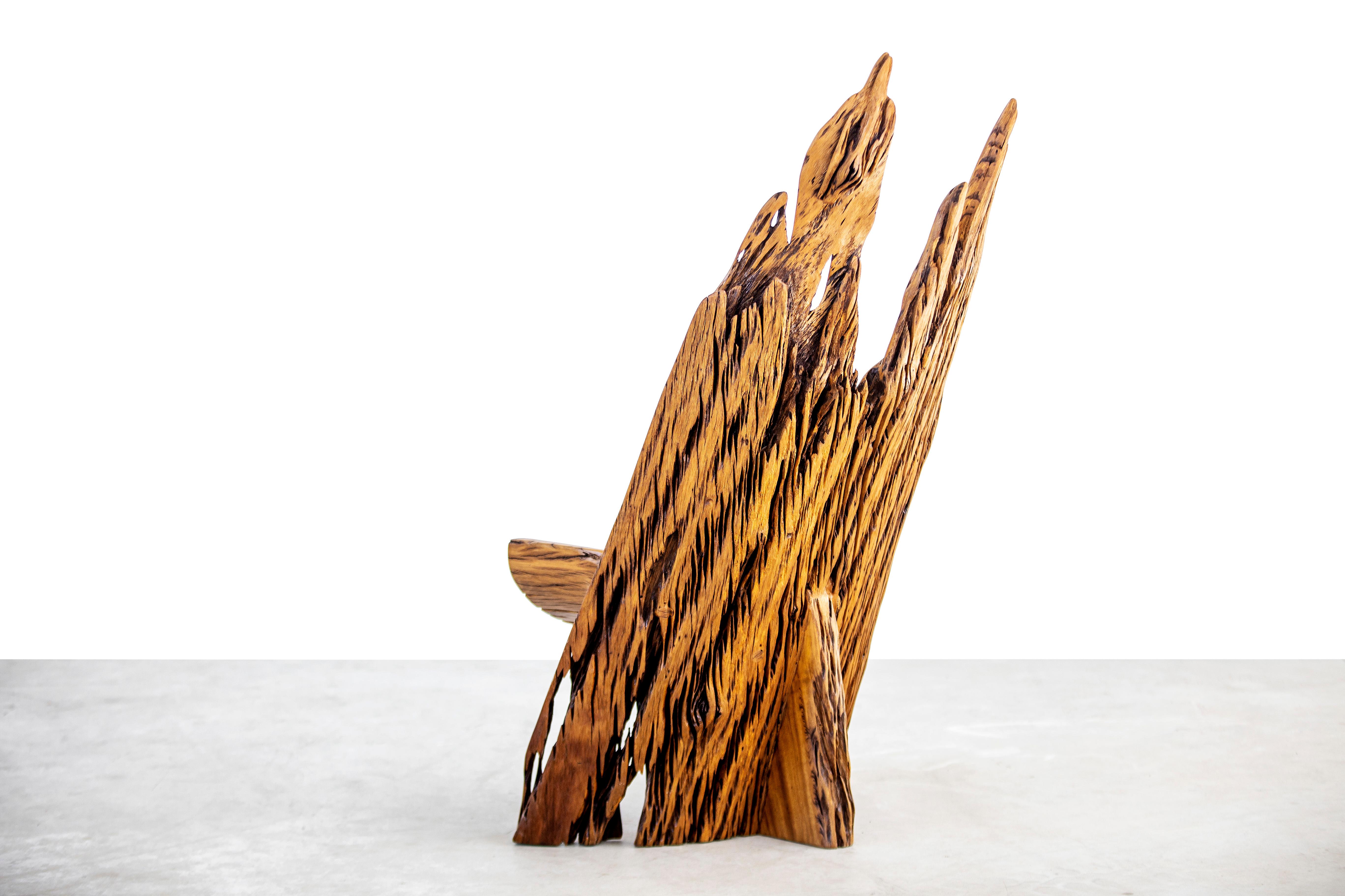 XXIe siècle et contemporain Chaise Arinhama en Wood Wood par Hugo França en vente