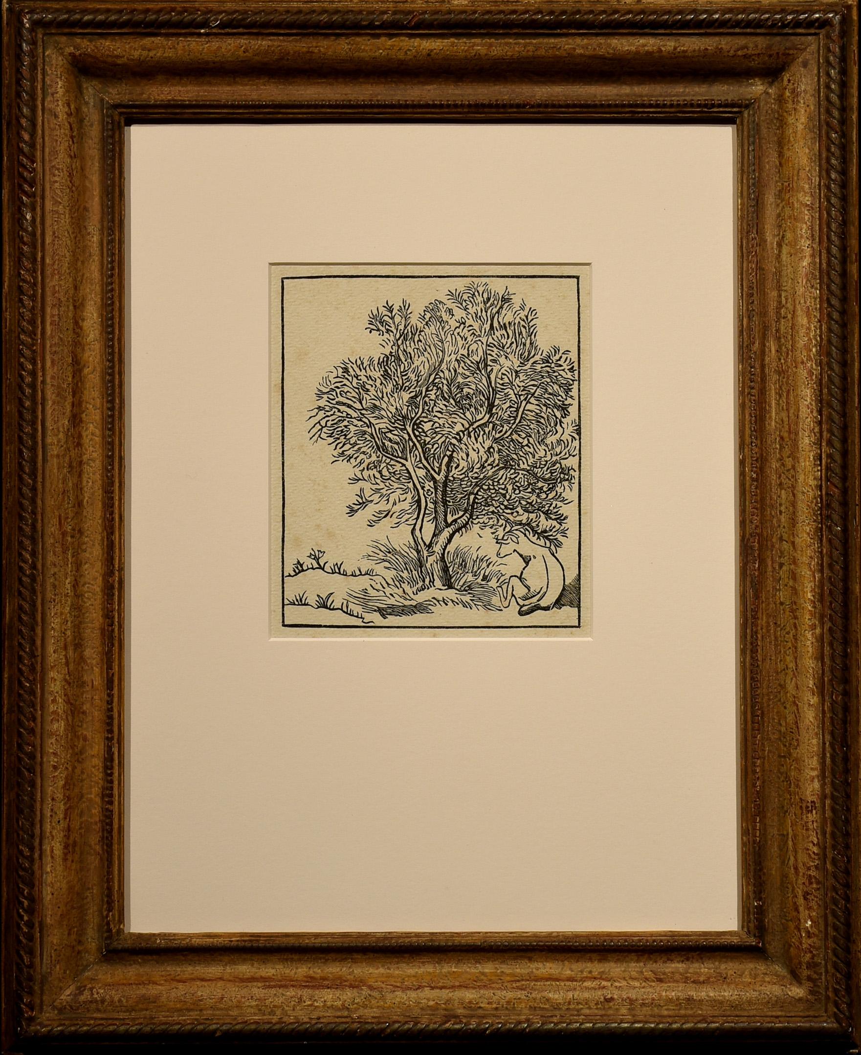 Goat Under an Olive Tree - Print by Aristide Maillol