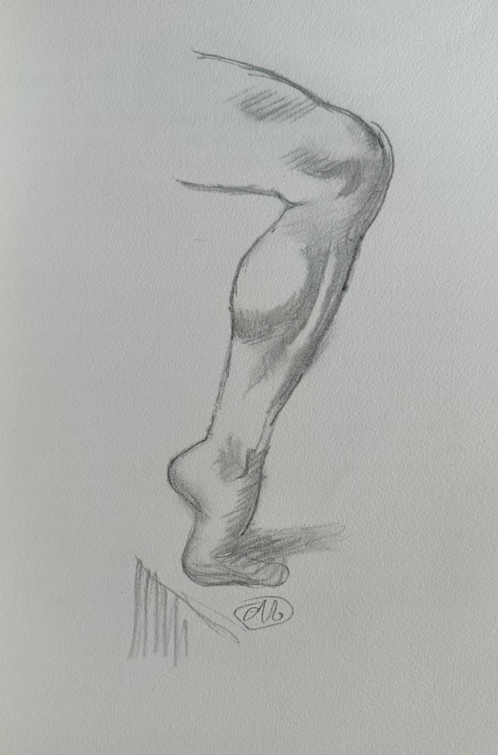 number 411/720.  7 full page figurative drawings illustrating Serge Lifar's text.