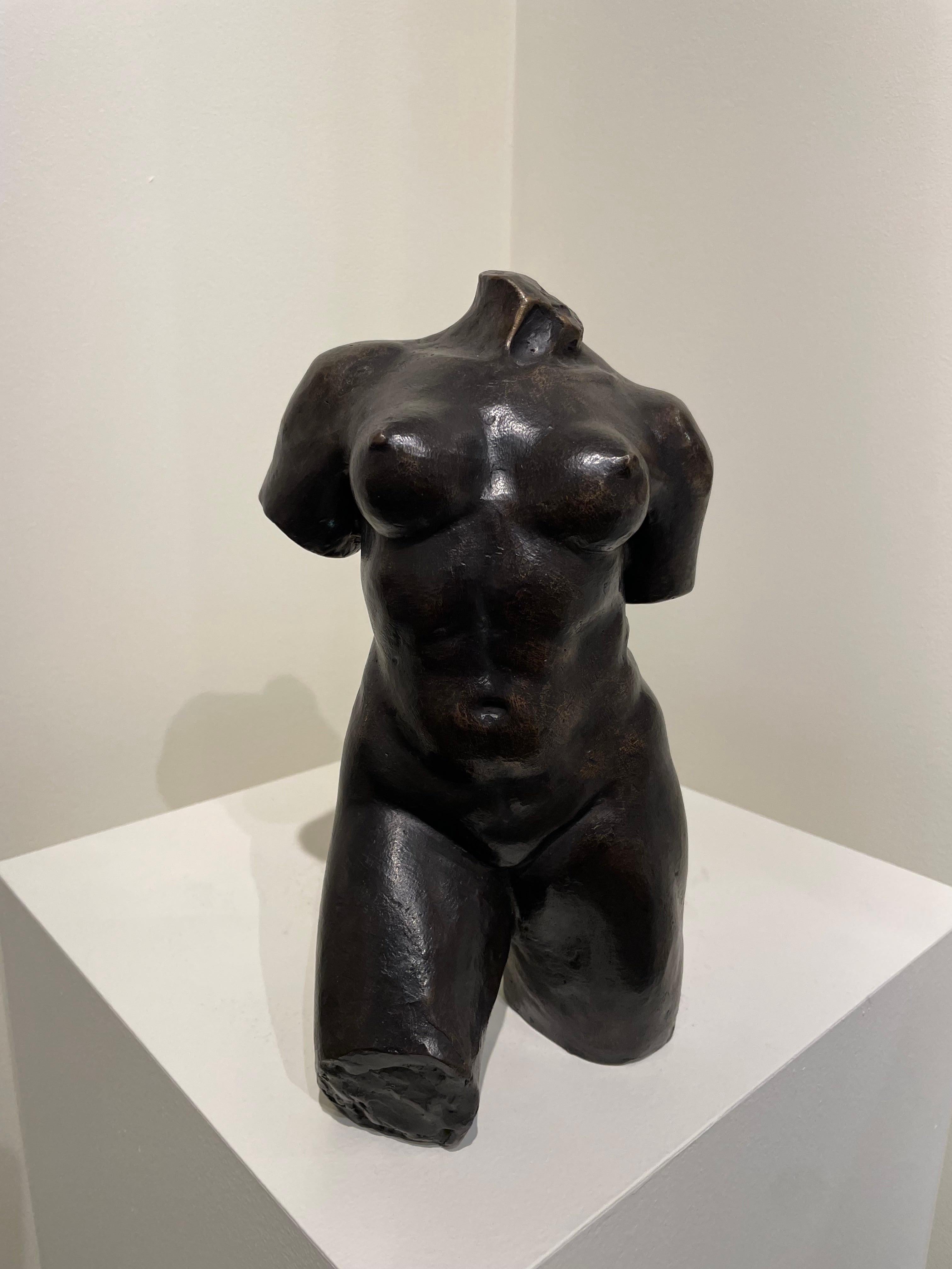 Torse féminin nu du 20ème siècle d'après l'artiste française Aristide Maillol en vente 9