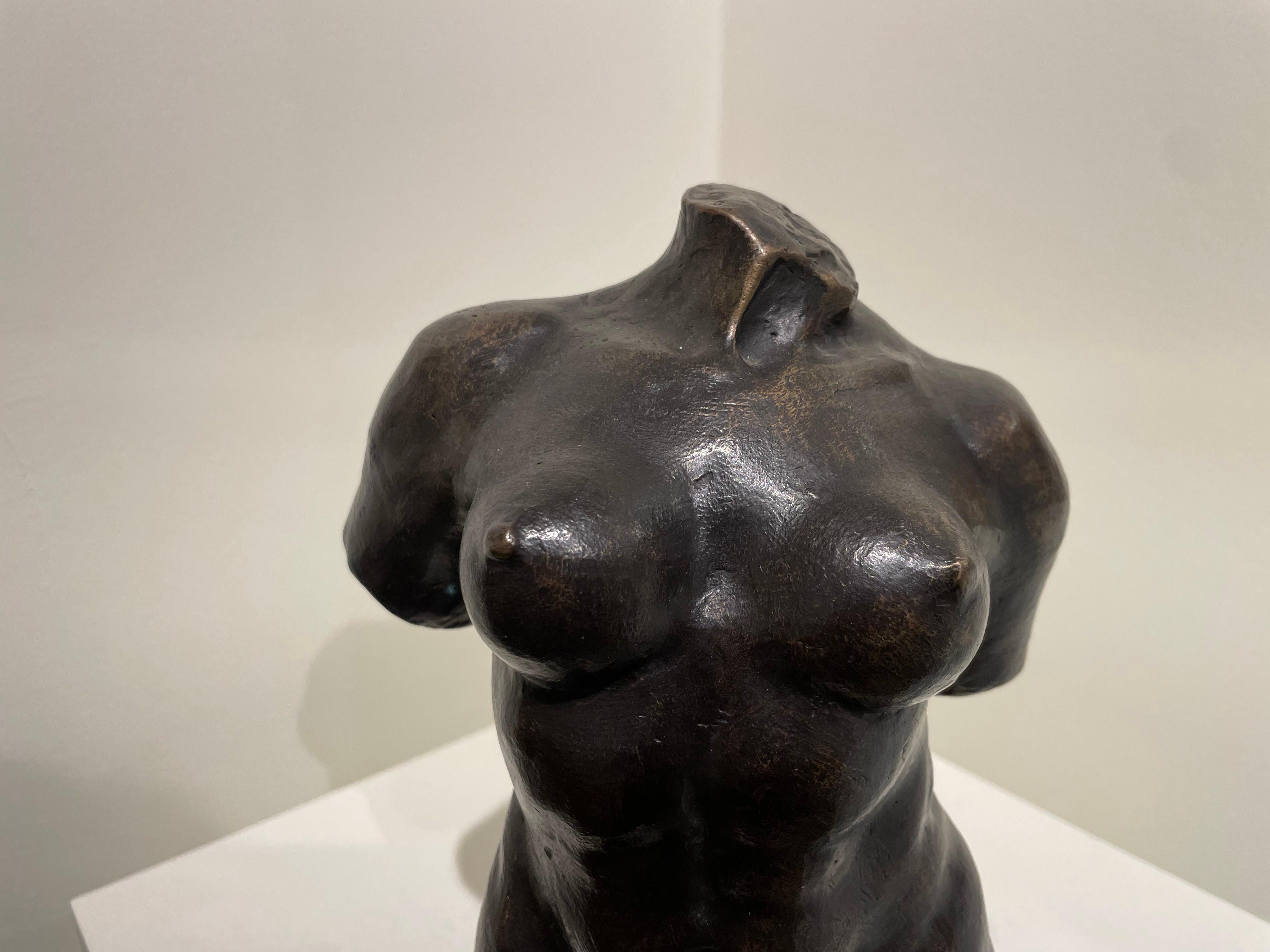 Torse féminin nu du 20ème siècle d'après l'artiste française Aristide Maillol en vente 10
