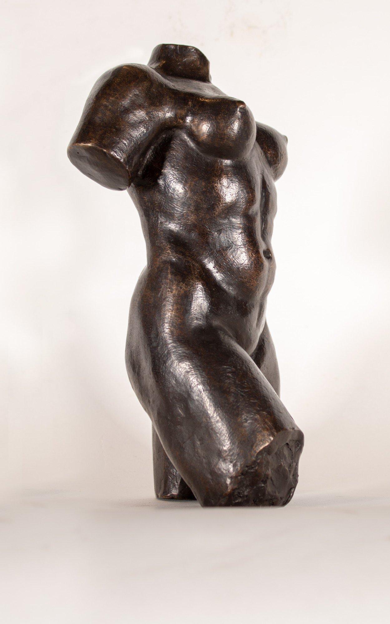 Bronze Akt- weiblicher Torso des 20. Jahrhunderts nach dem französischen Künstler Aristide Maillol im Angebot 2
