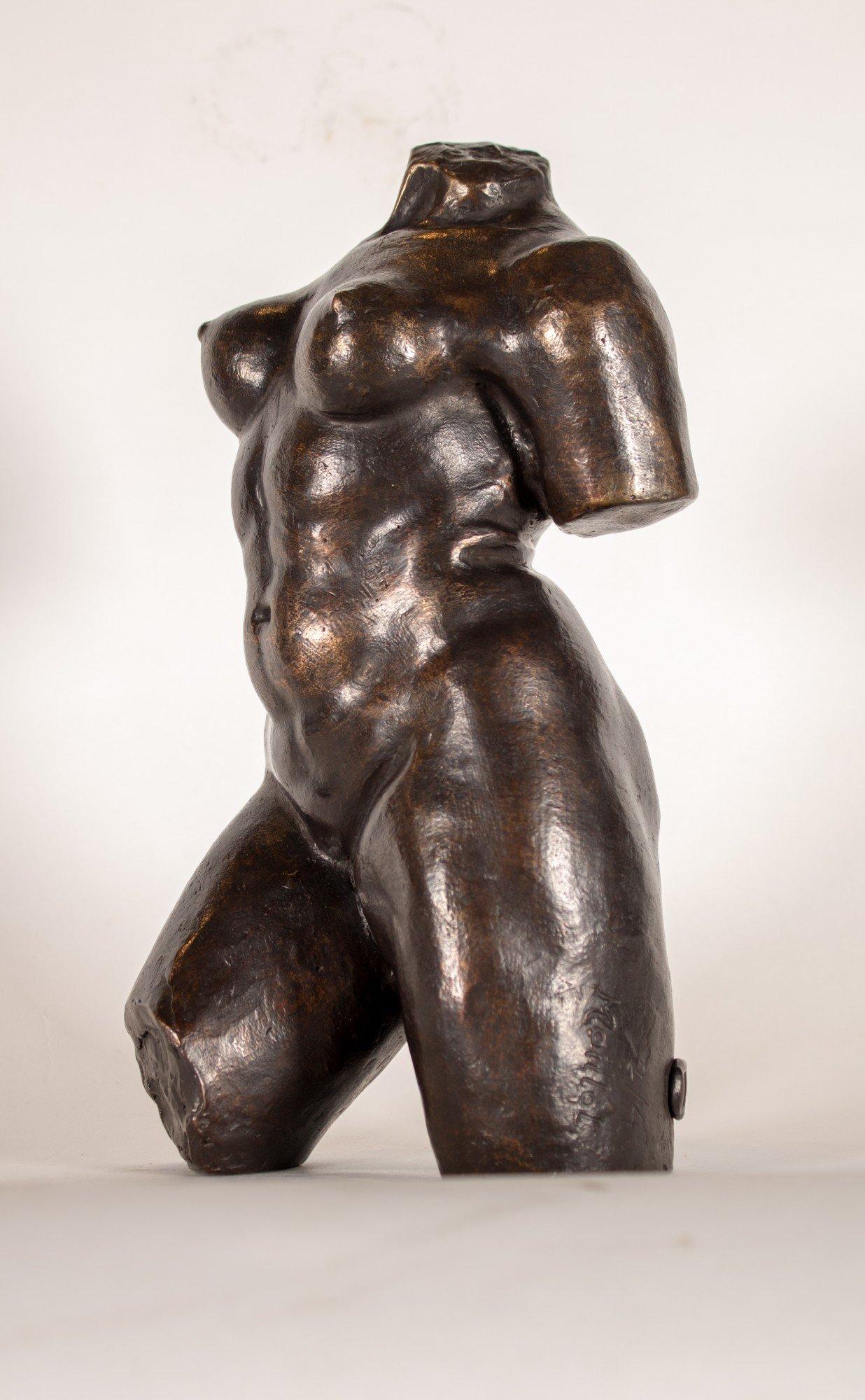 Bronze Akt- weiblicher Torso des 20. Jahrhunderts nach dem französischen Künstler Aristide Maillol im Angebot 6