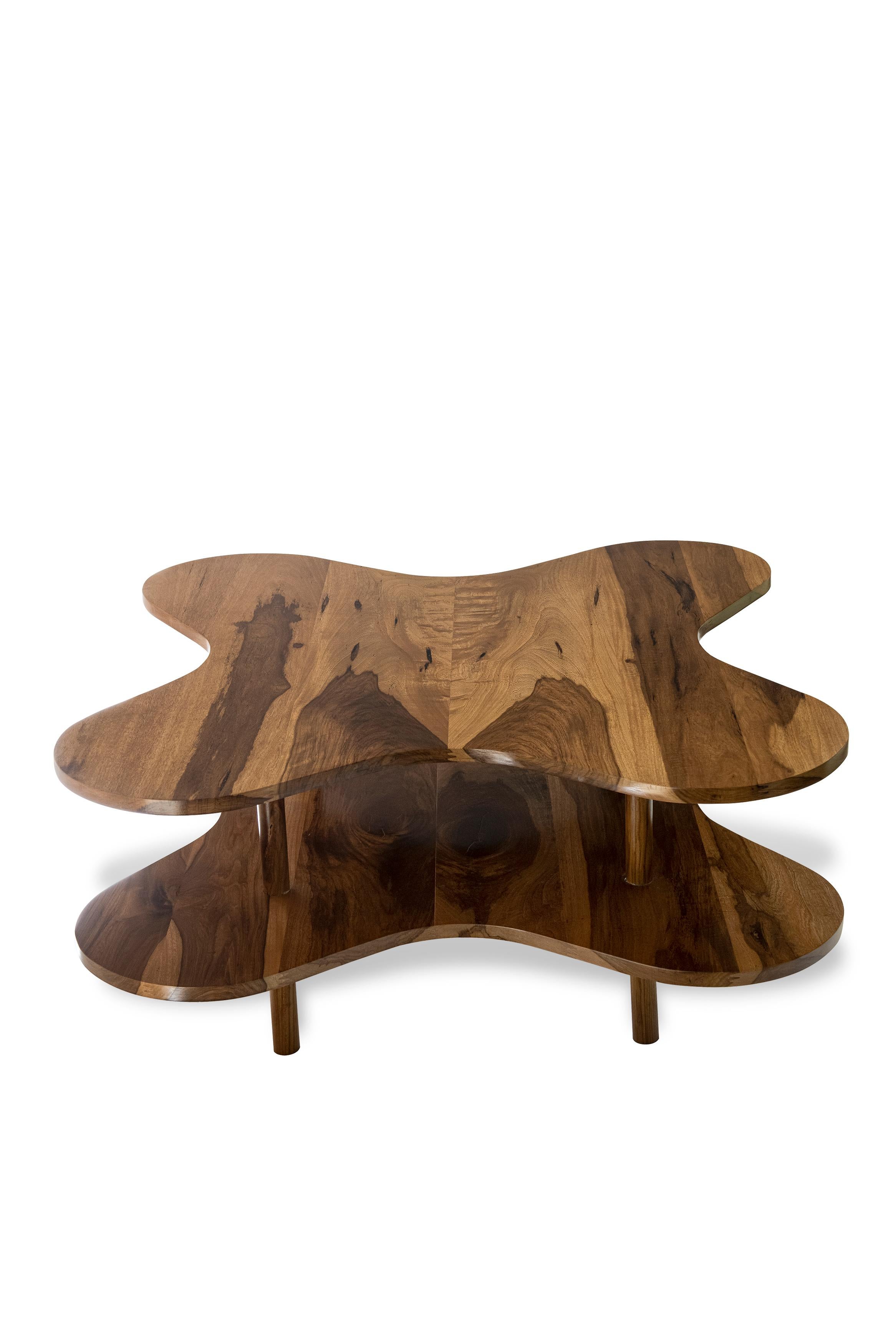 Ariston Niedriger Tisch, entworfen von Daniel Basso und Estudio Florida, Argentinien, 2022 (Moderne) im Angebot