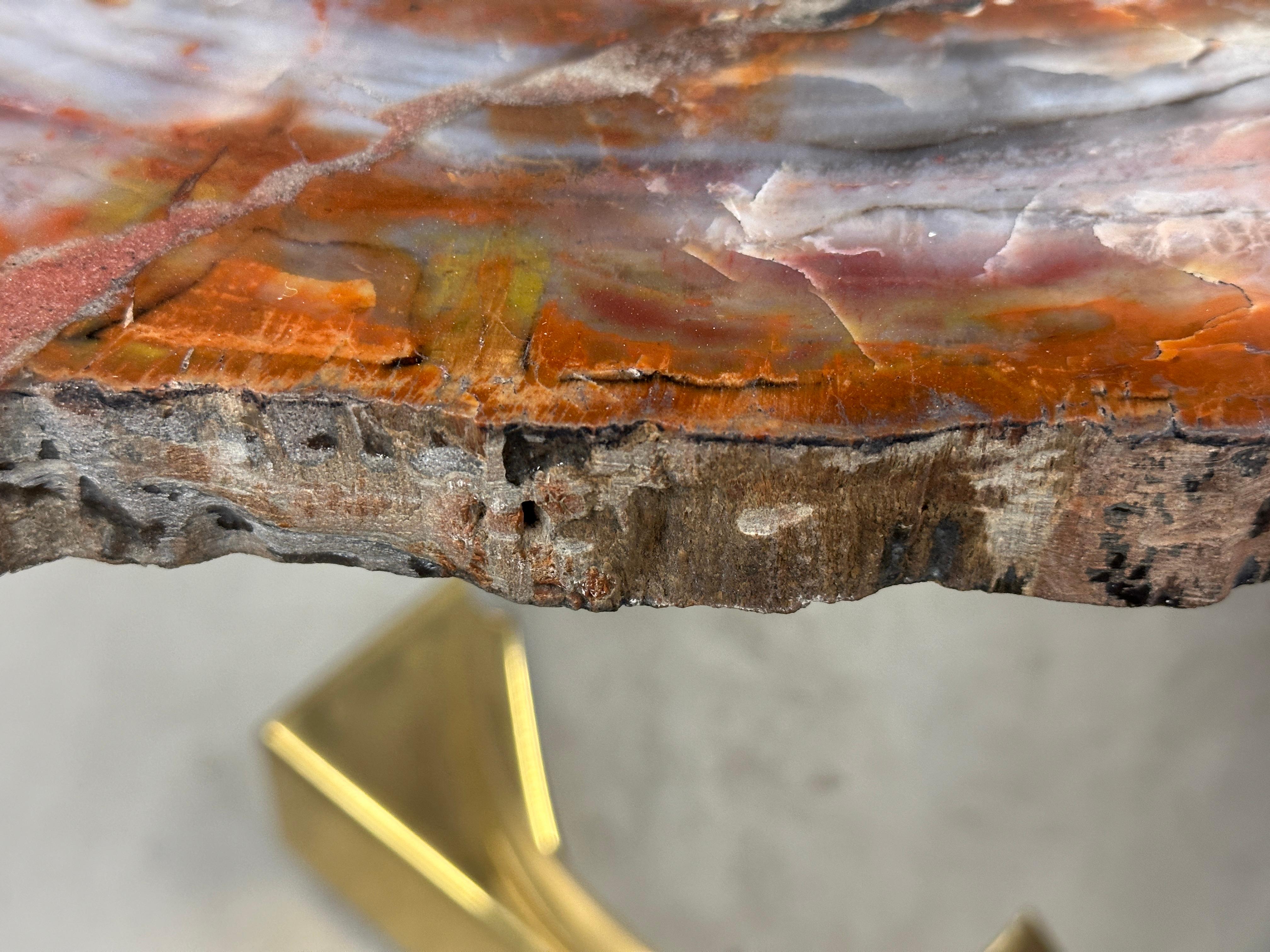 Arizona Petrified Wood Slab Table on Brass and Stainless Base For Sale 6