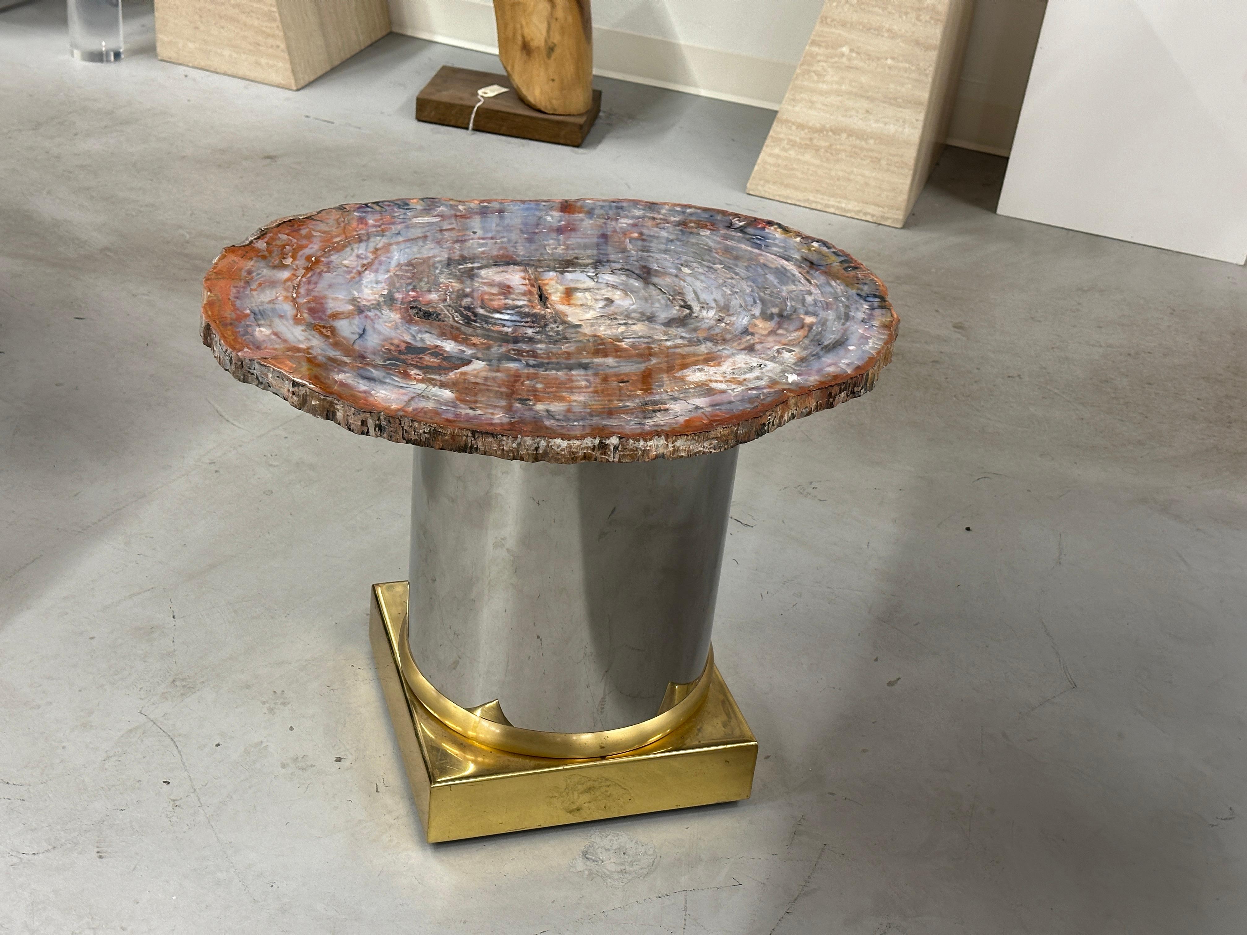 Table en dalle de bois pétrifié d'Arizona sur base en laiton et en acier inoxydable en vente 8