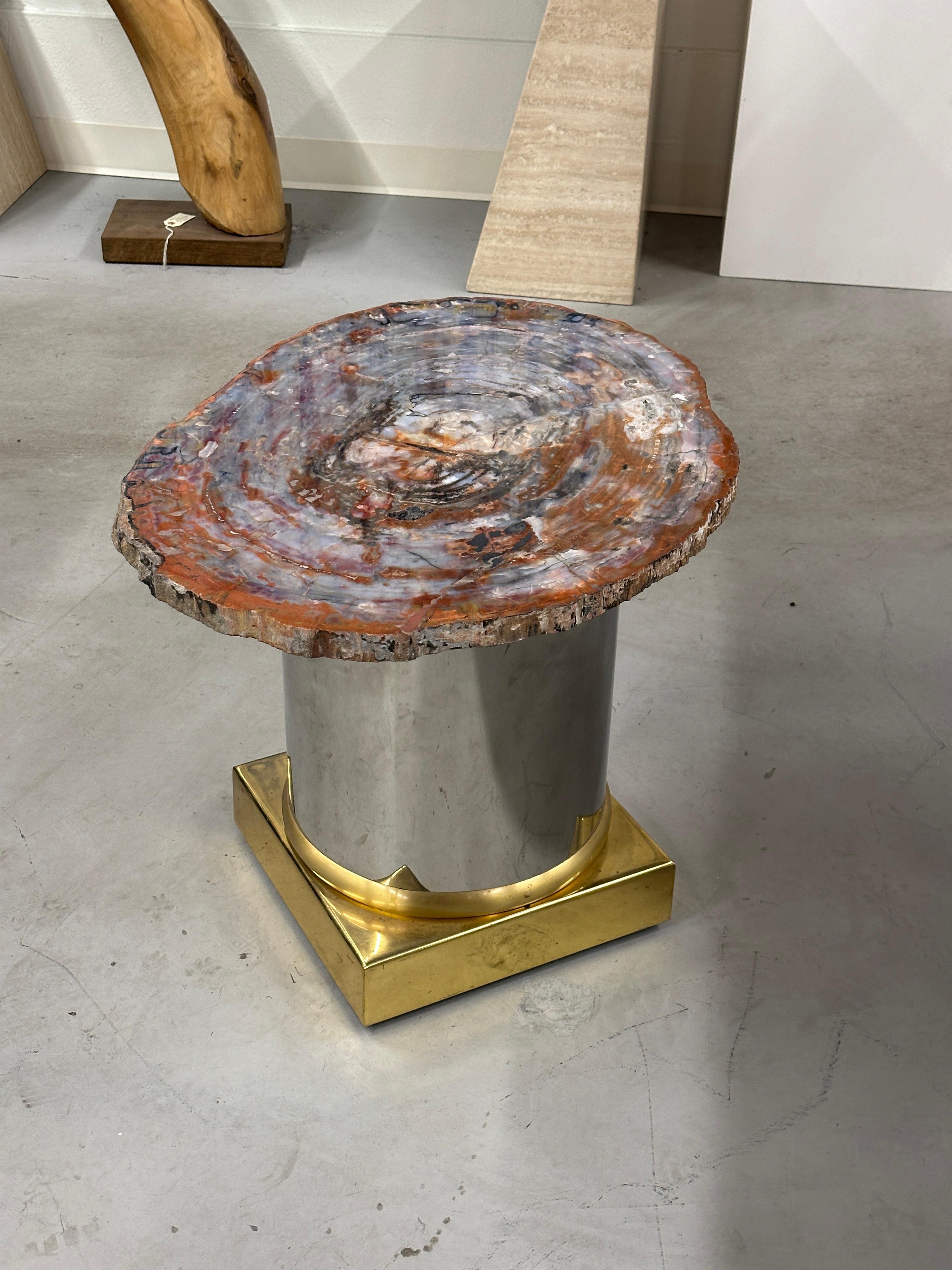 Table en dalle de bois pétrifié d'Arizona sur base en laiton et en acier inoxydable en vente 9