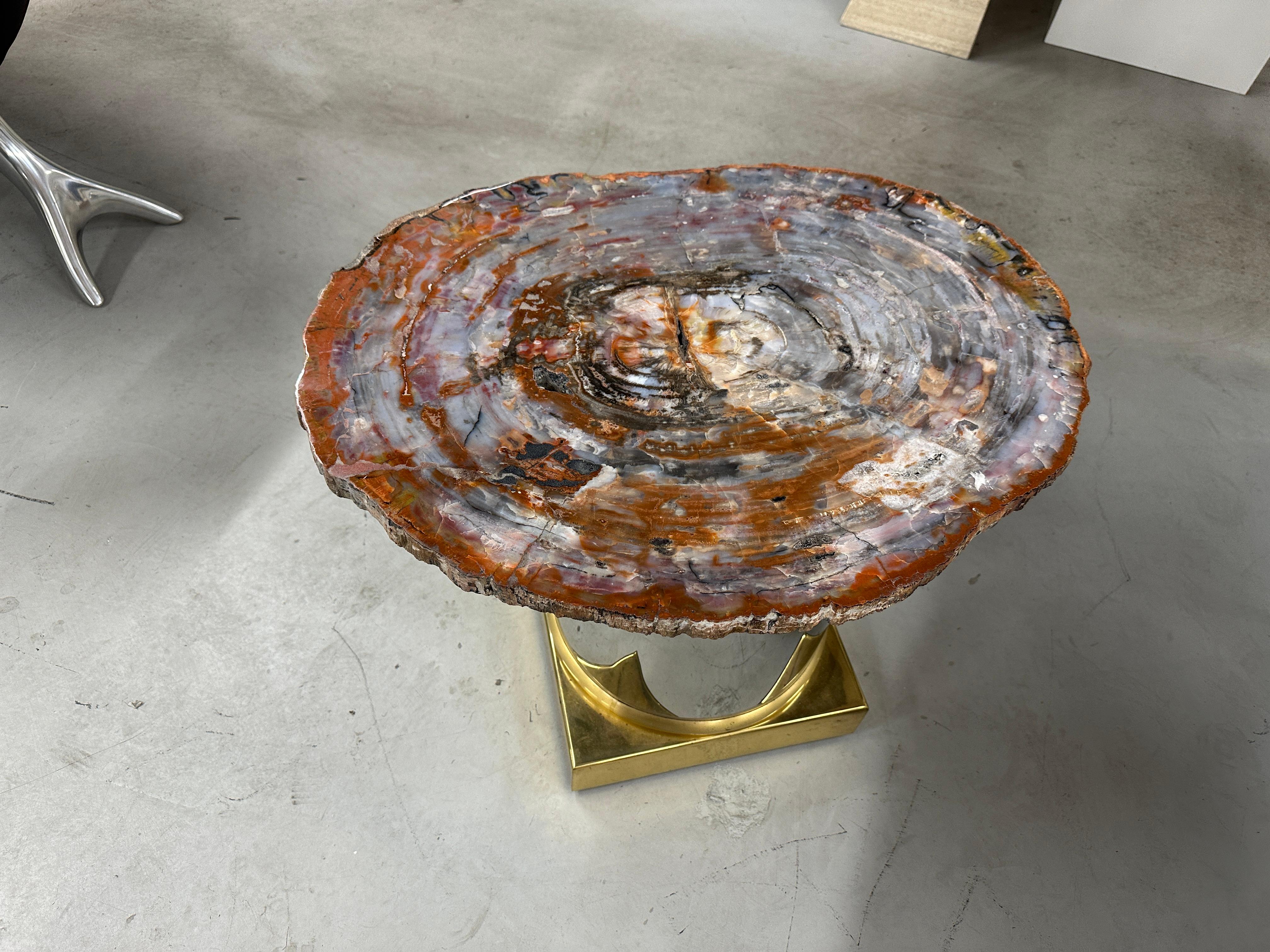 A stunning piece of true Arizona Petrified wood with a steel and brass base.  The top can be used in many different ways. We’ve chosen to display it on this simple pedestal base. The top is loose and not attached so it can be positioned at any