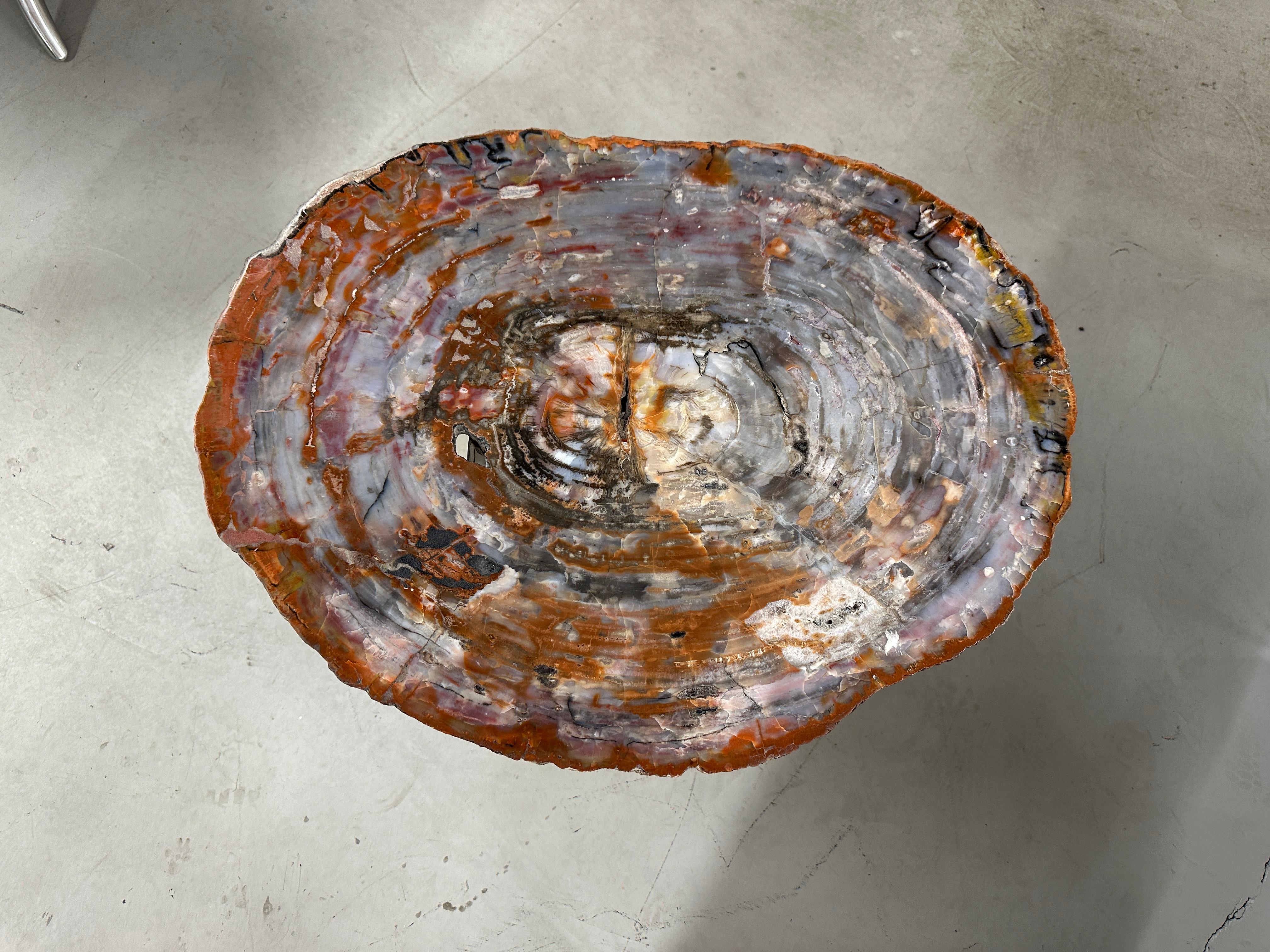 Américain Table en dalle de bois pétrifié d'Arizona sur base en laiton et en acier inoxydable en vente