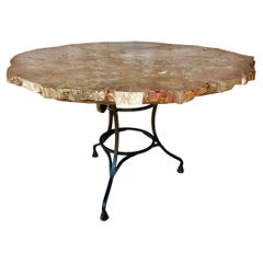 Arizona Petrified Wood Table With Custom Iron Base
