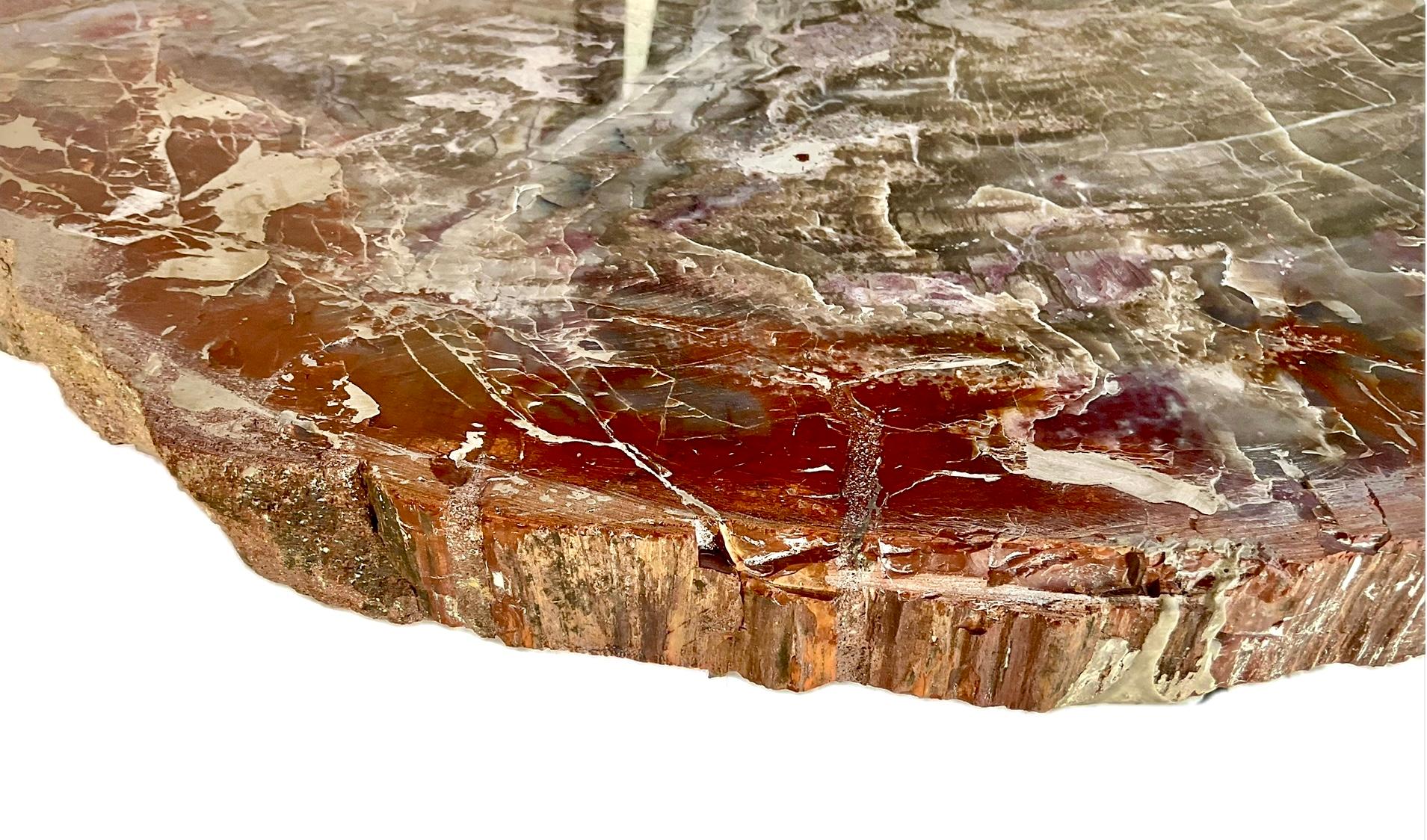 Fino al XVIII secolo Tavolo in legno pietrificato dell'Arizona con base in ferro personalizzata in vendita