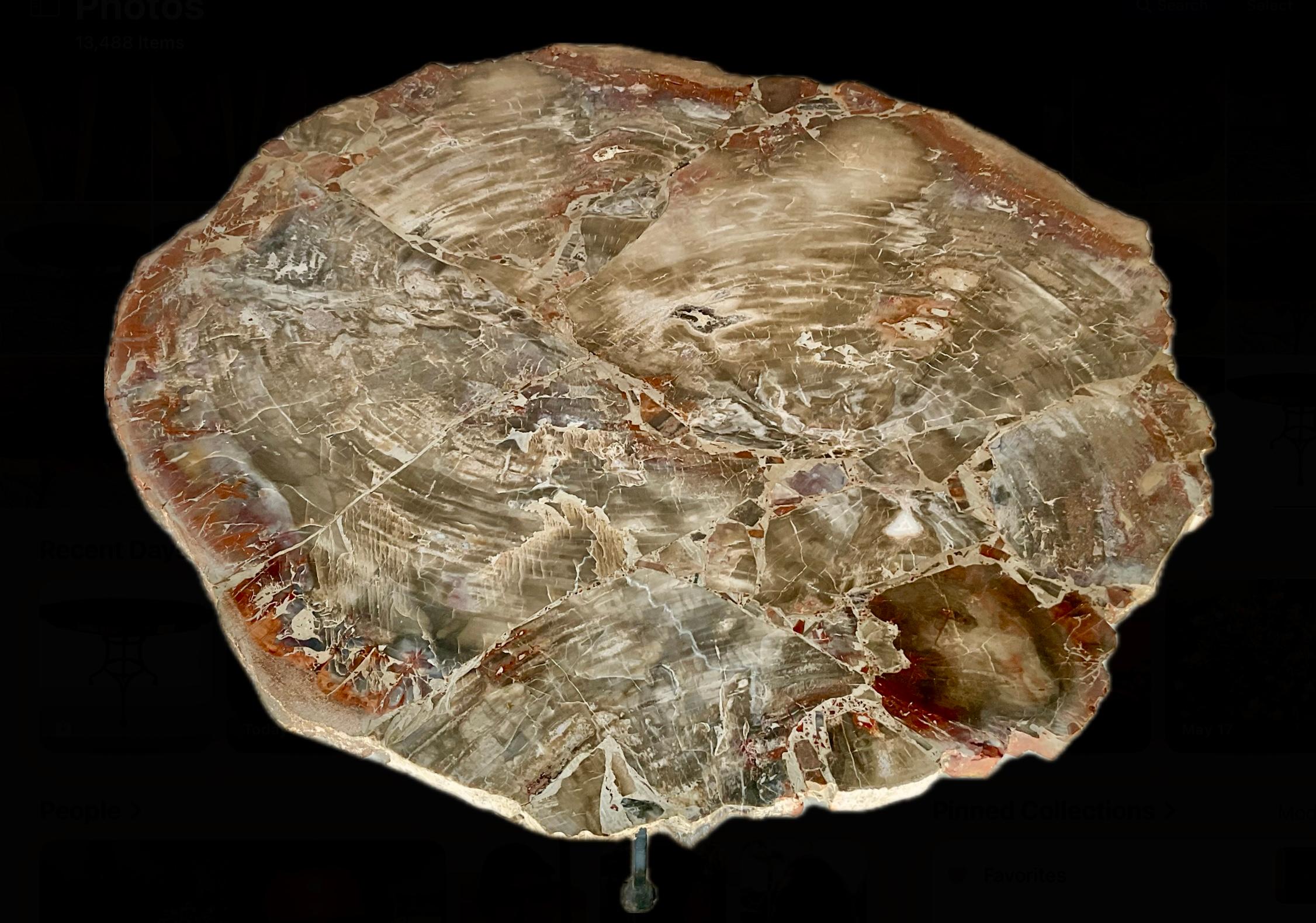 Metallo Tavolo in legno pietrificato dell'Arizona con base in ferro personalizzata in vendita