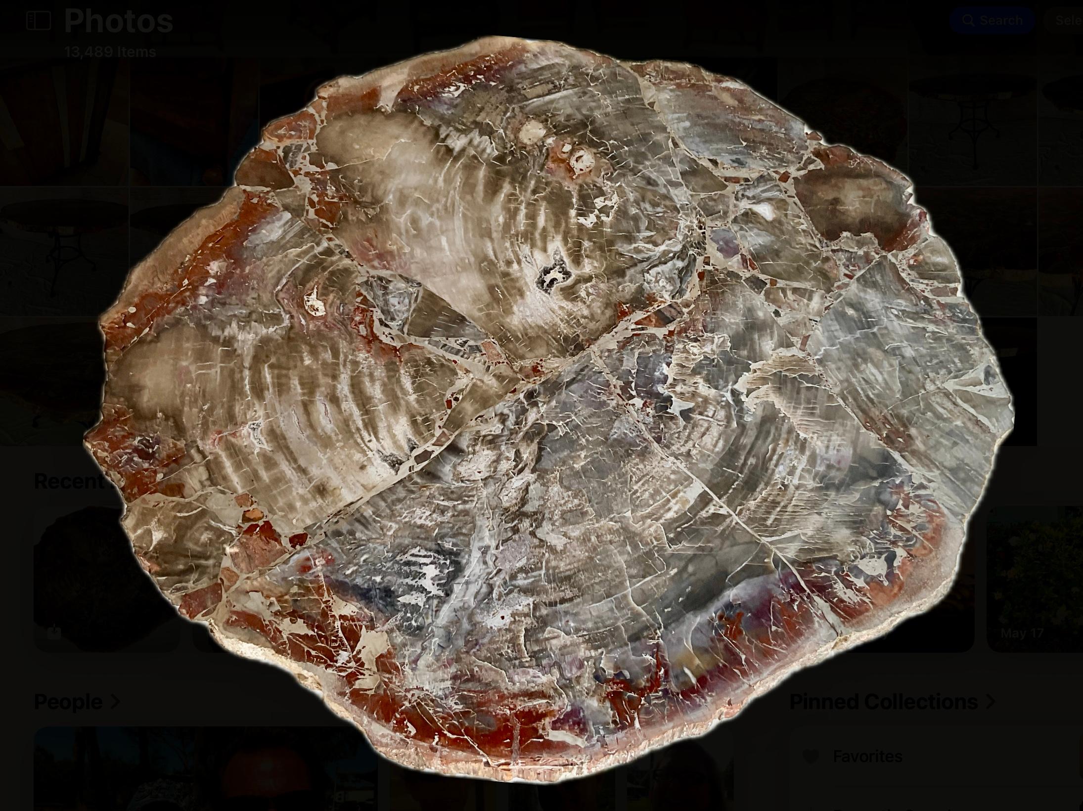 Tavolo in legno pietrificato dell'Arizona con base in ferro personalizzata in vendita 1