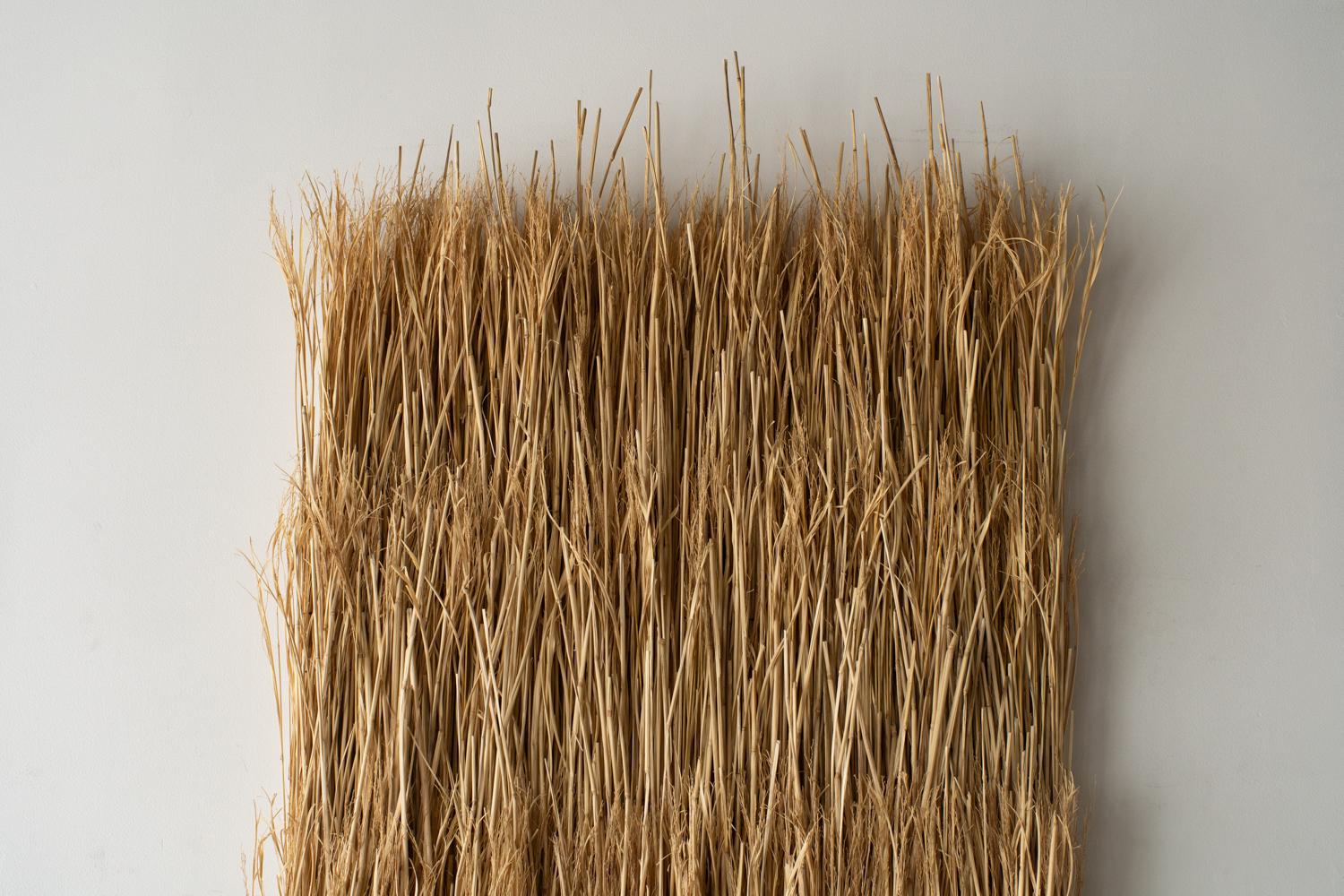 Organic Modern Arko Wall Art 5, Contemporary Art Craft Rice Straw For Sale