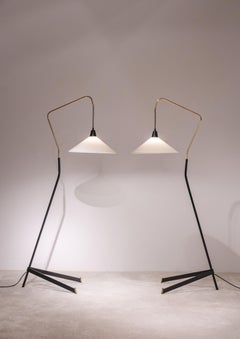 ARLUS pair of floor lamp 50's