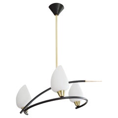 ARLUS Rare Mid-century Chandelier, 1950s