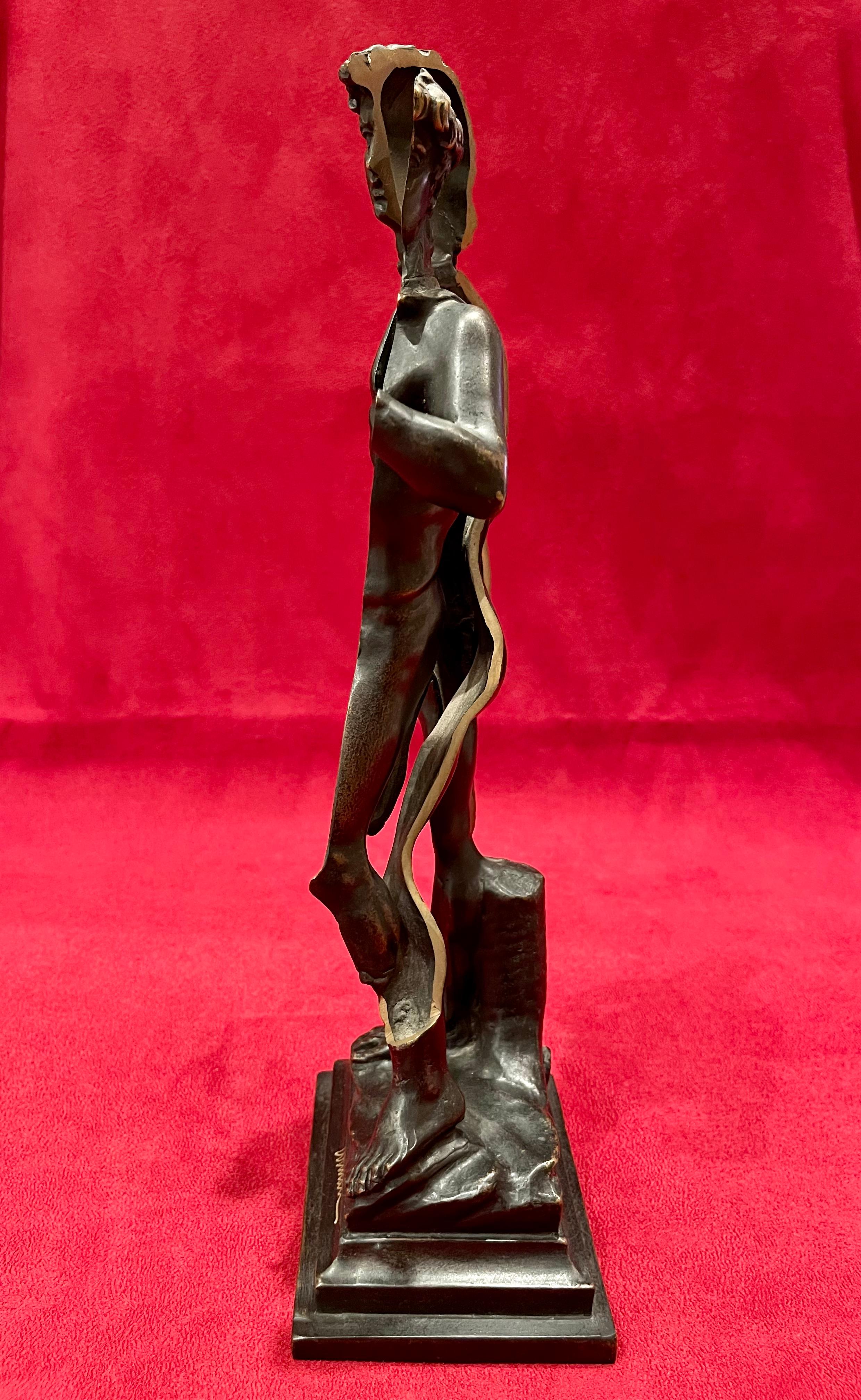 ARMAN, Bronze, David or The Secret of Beauty For Sale 11