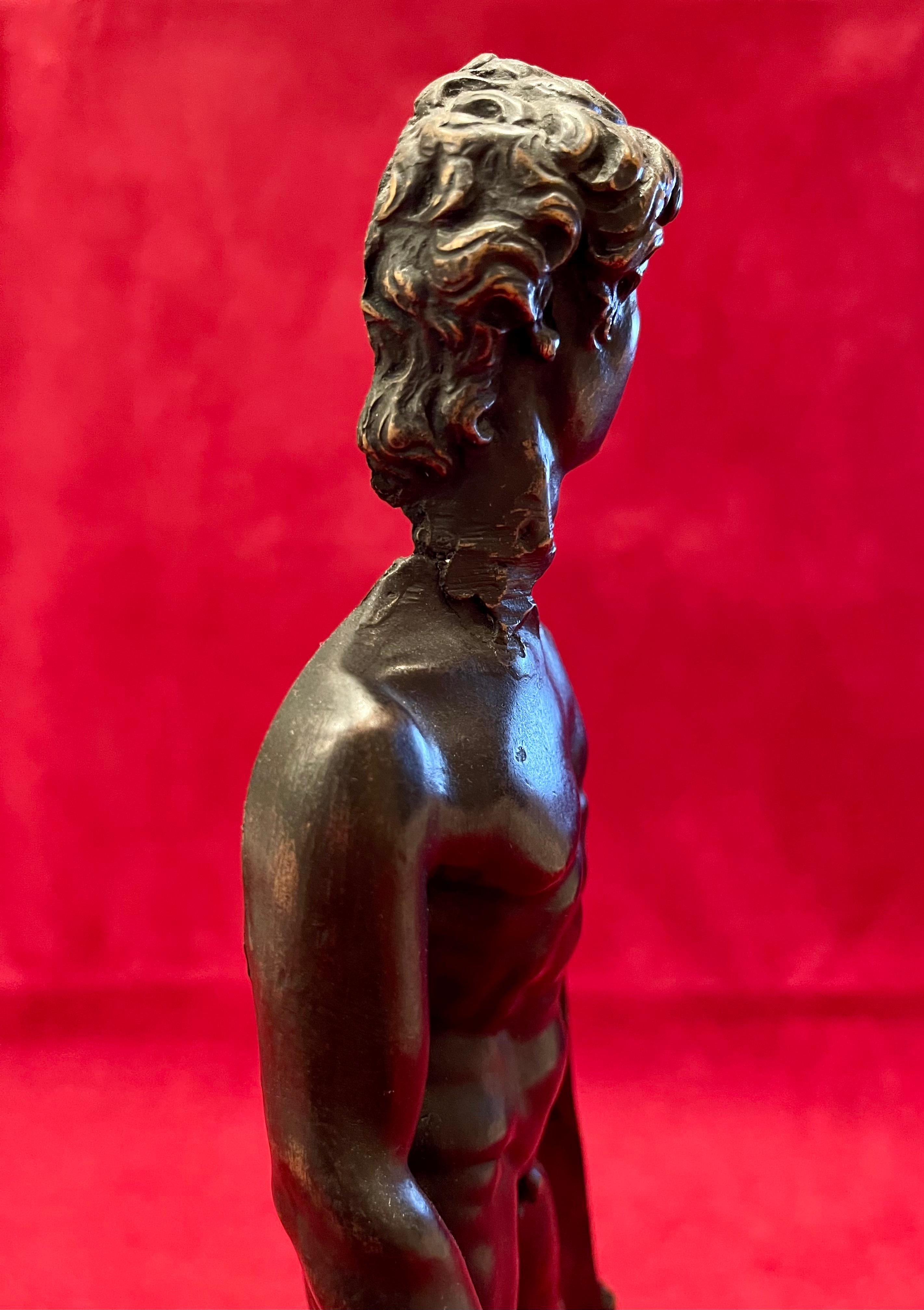 ARMAN, Bronze, David or The Secret of Beauty For Sale 1