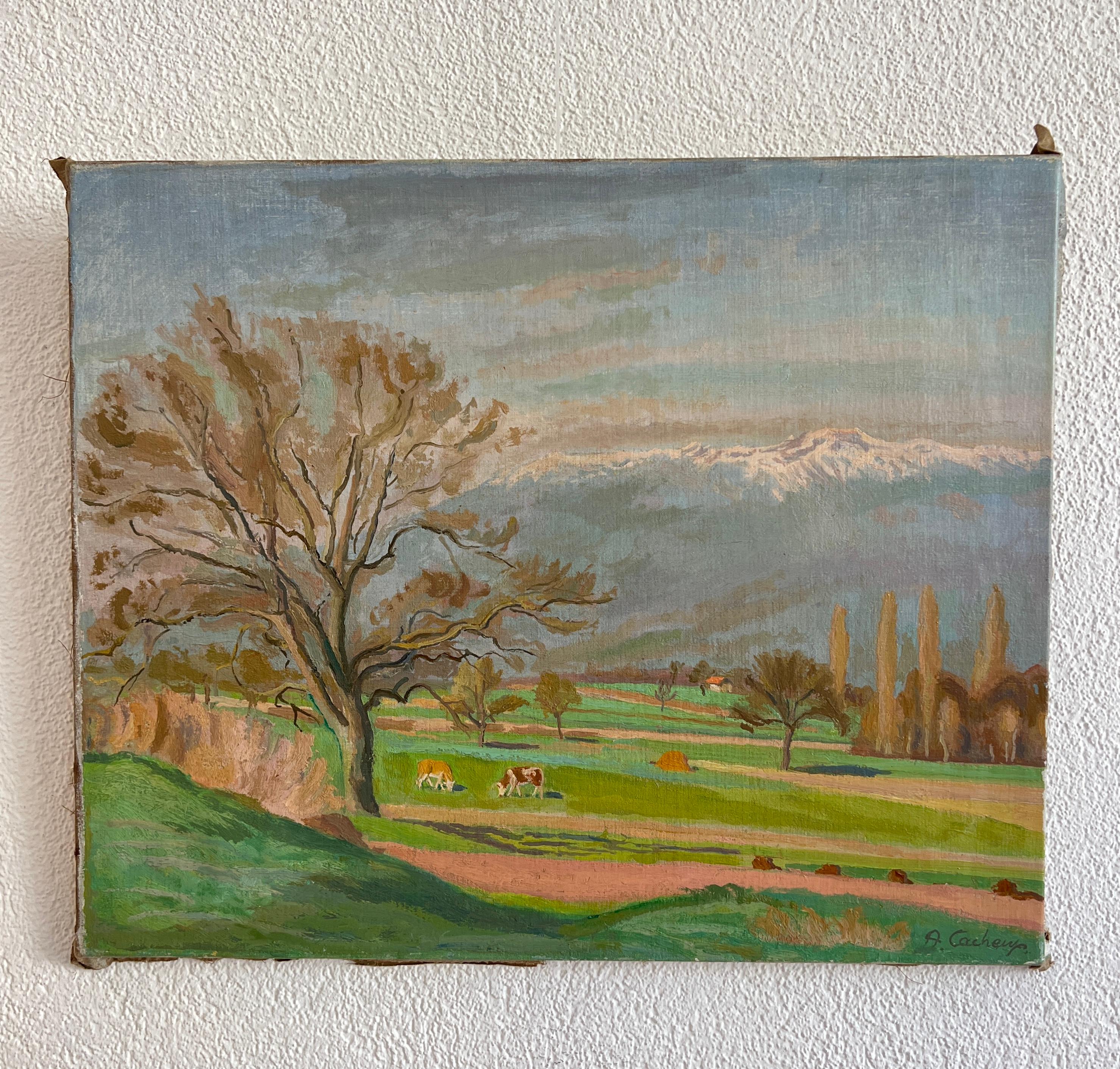 Countryside and cows in the field - Painting by Armand Cacheux