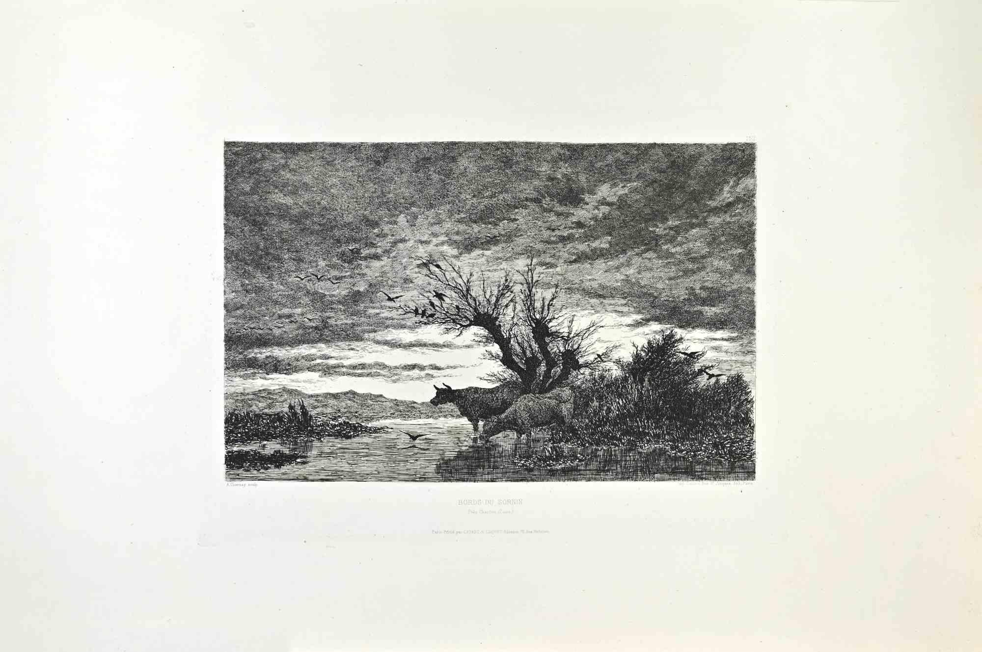 Bords du Sornin es una obra de arte realizada por A.Charnay en la década de 1870.

Grabado.

Tamaño de la imagen:19x29

Buenas condiciones.



Realizado para la "Société des Aquafortistes. Nacida por iniciativa del editor Alfred Cadart, la Société