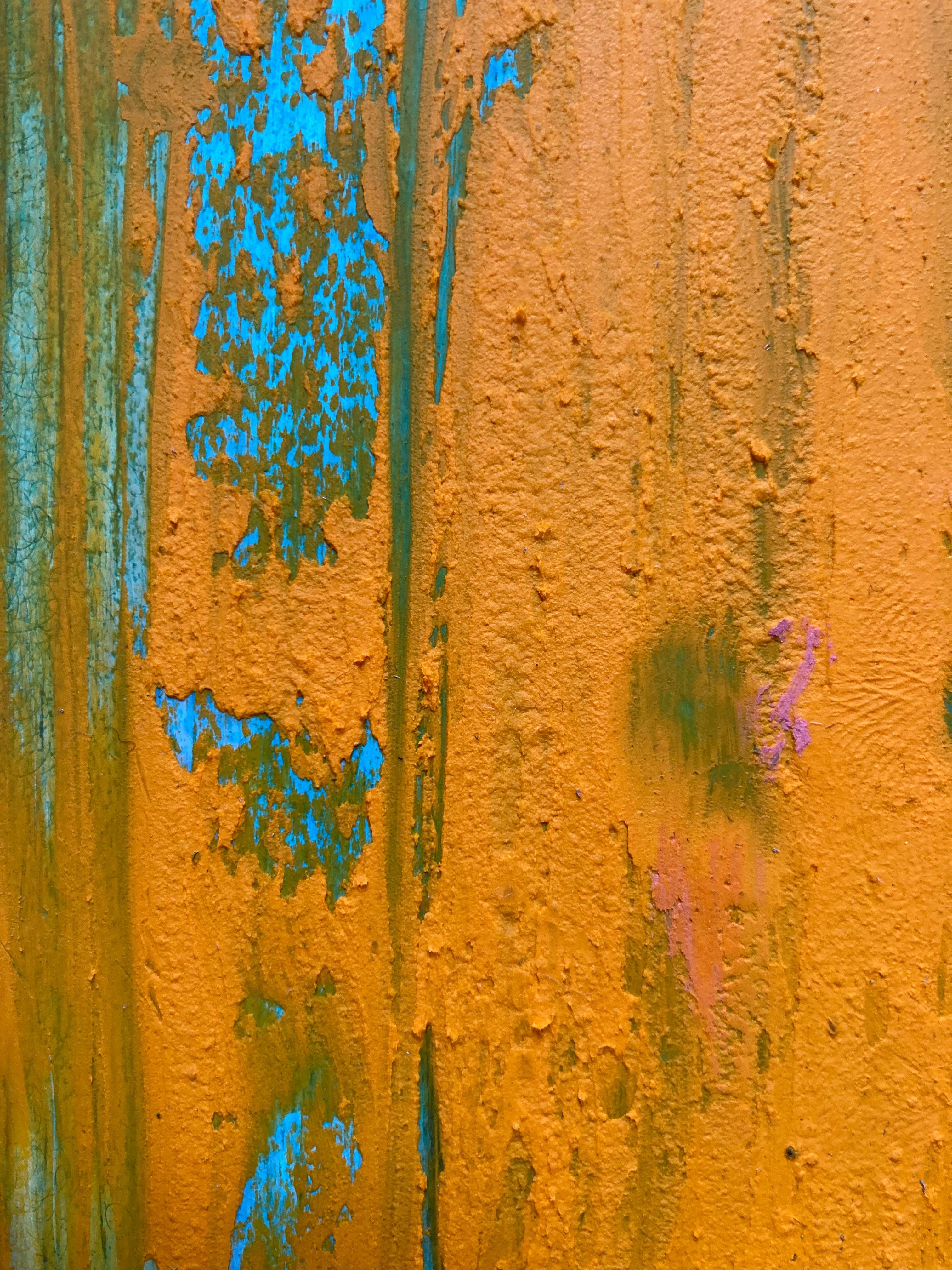 Dichiarazione dell'artista:  