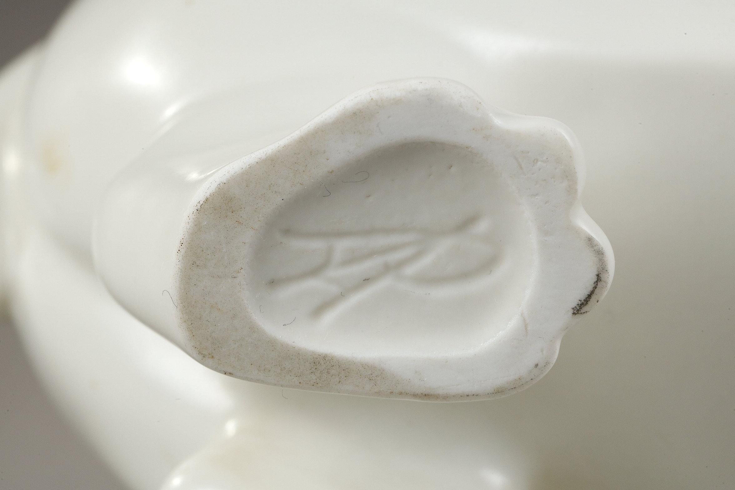 Hippopotamus For Sale 4