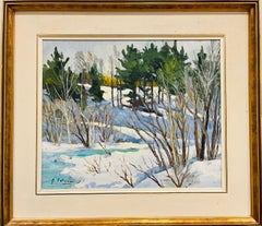 Paesaggio del Quebec