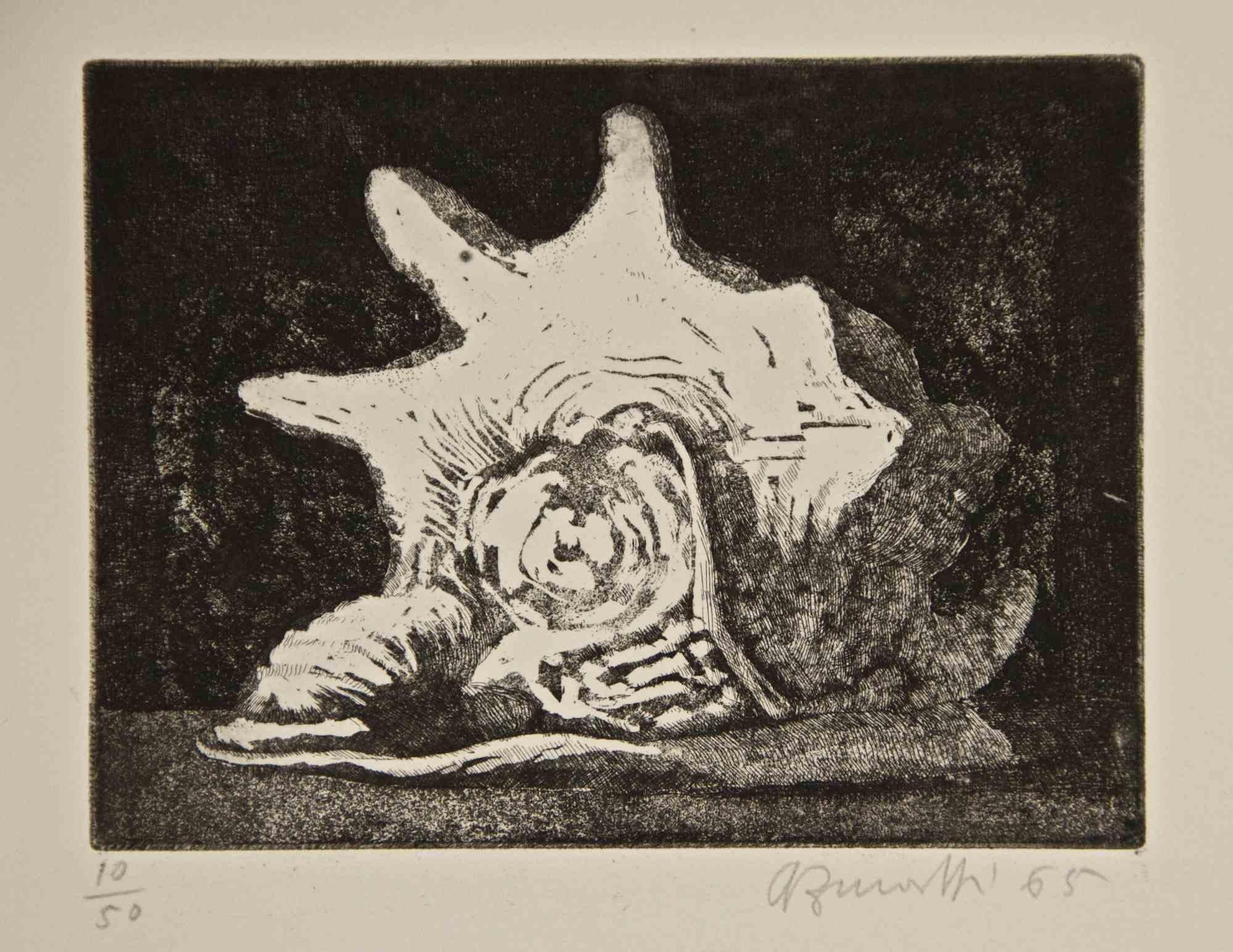 Shell Etching by Armando Buratti, Modern, Signed, Edition of 50, 1965