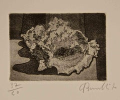 Shell - Etching by Armando Buratti - 1970